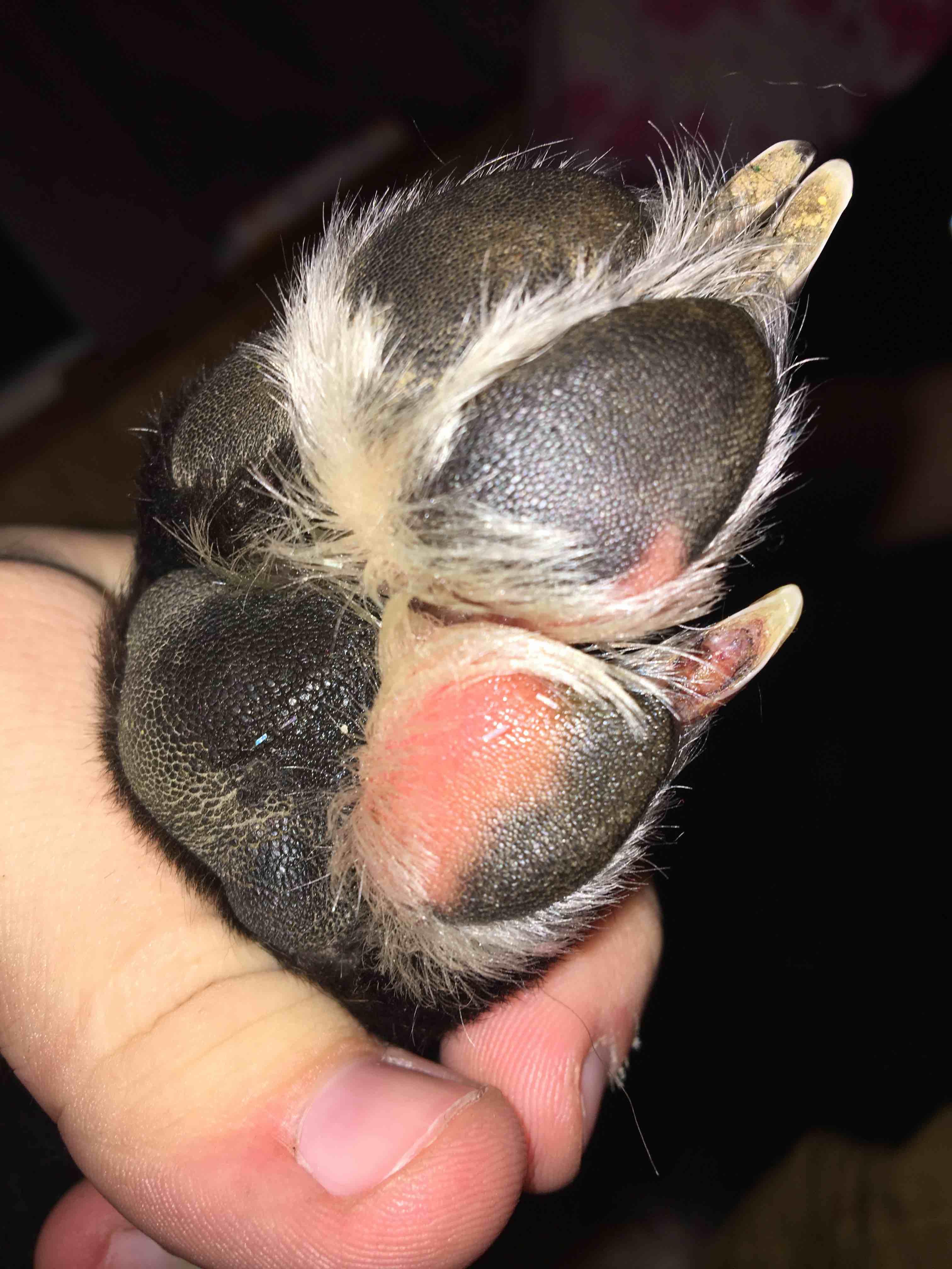 Question details sensitive content