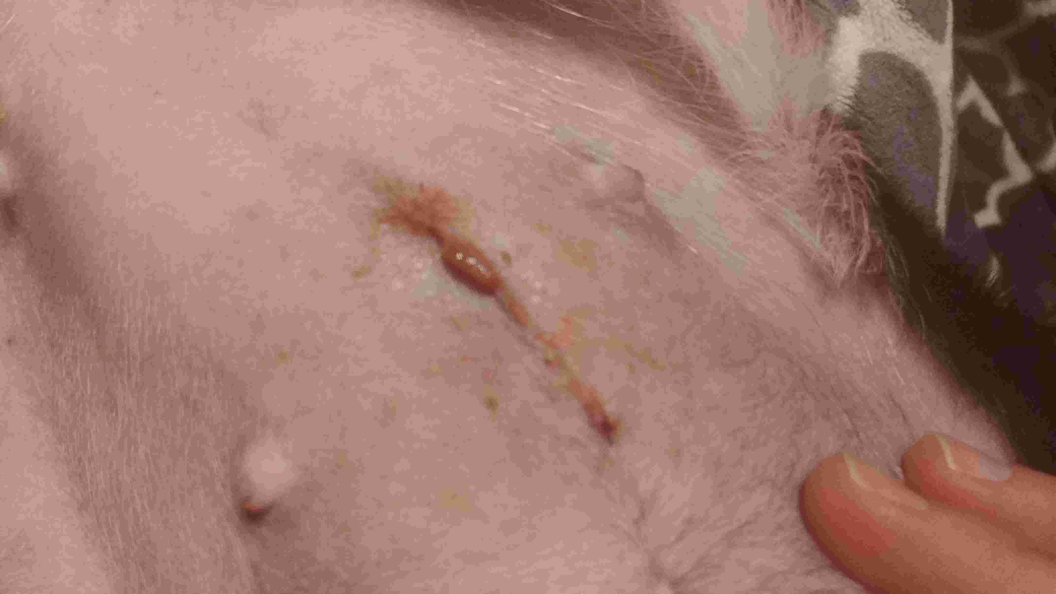 Question details sensitive content