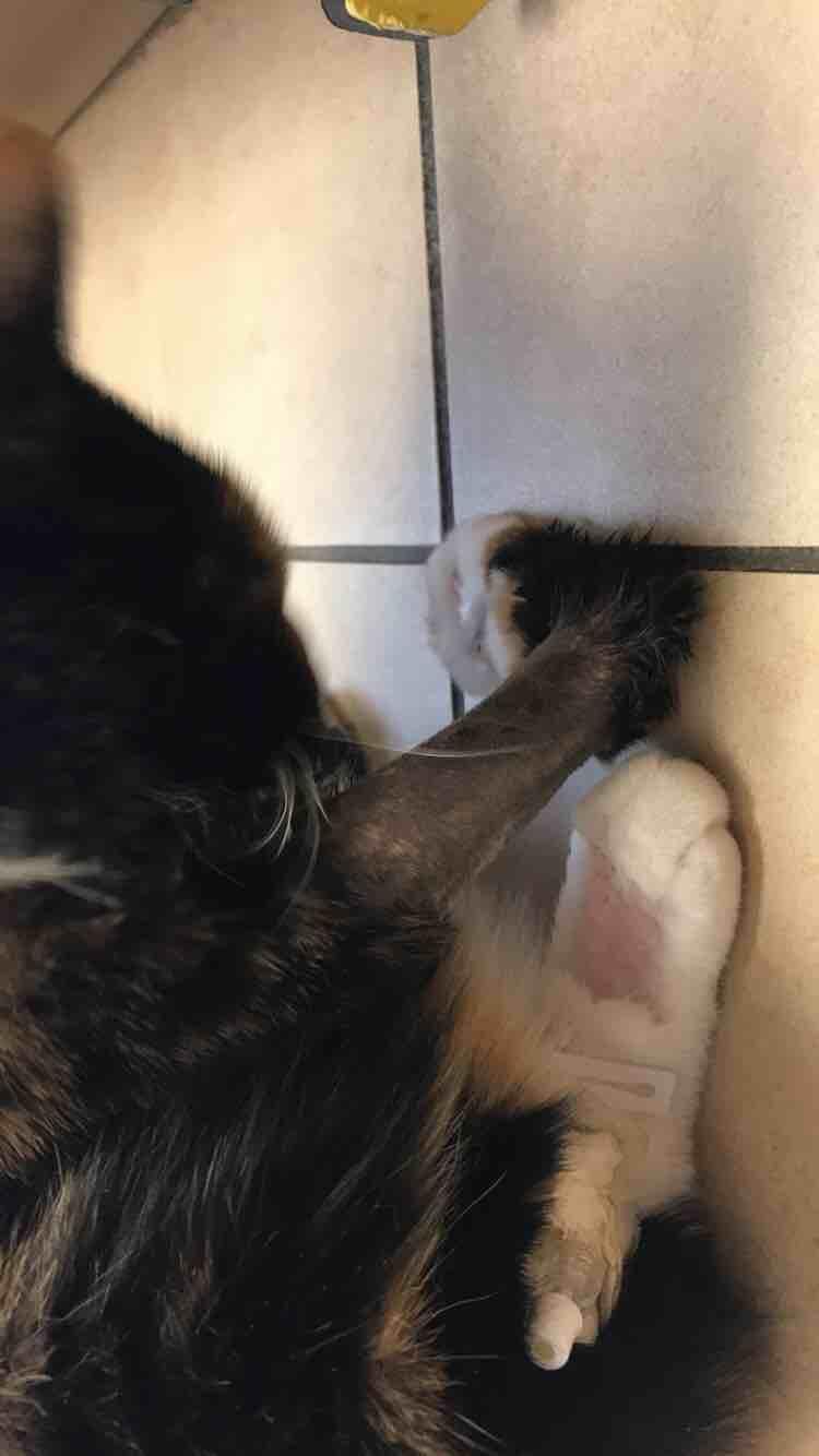 Question details sensitive content