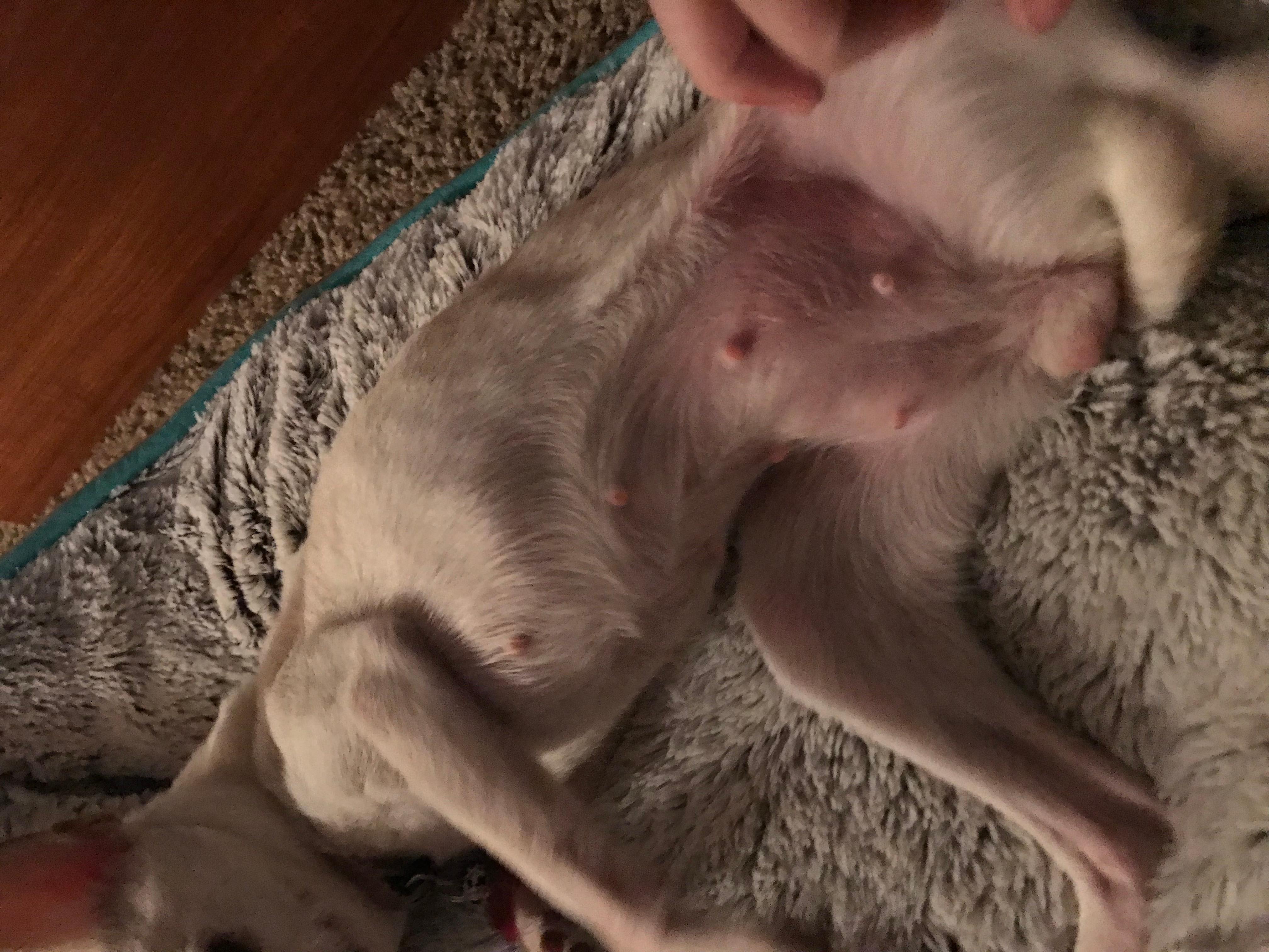 Question details sensitive content