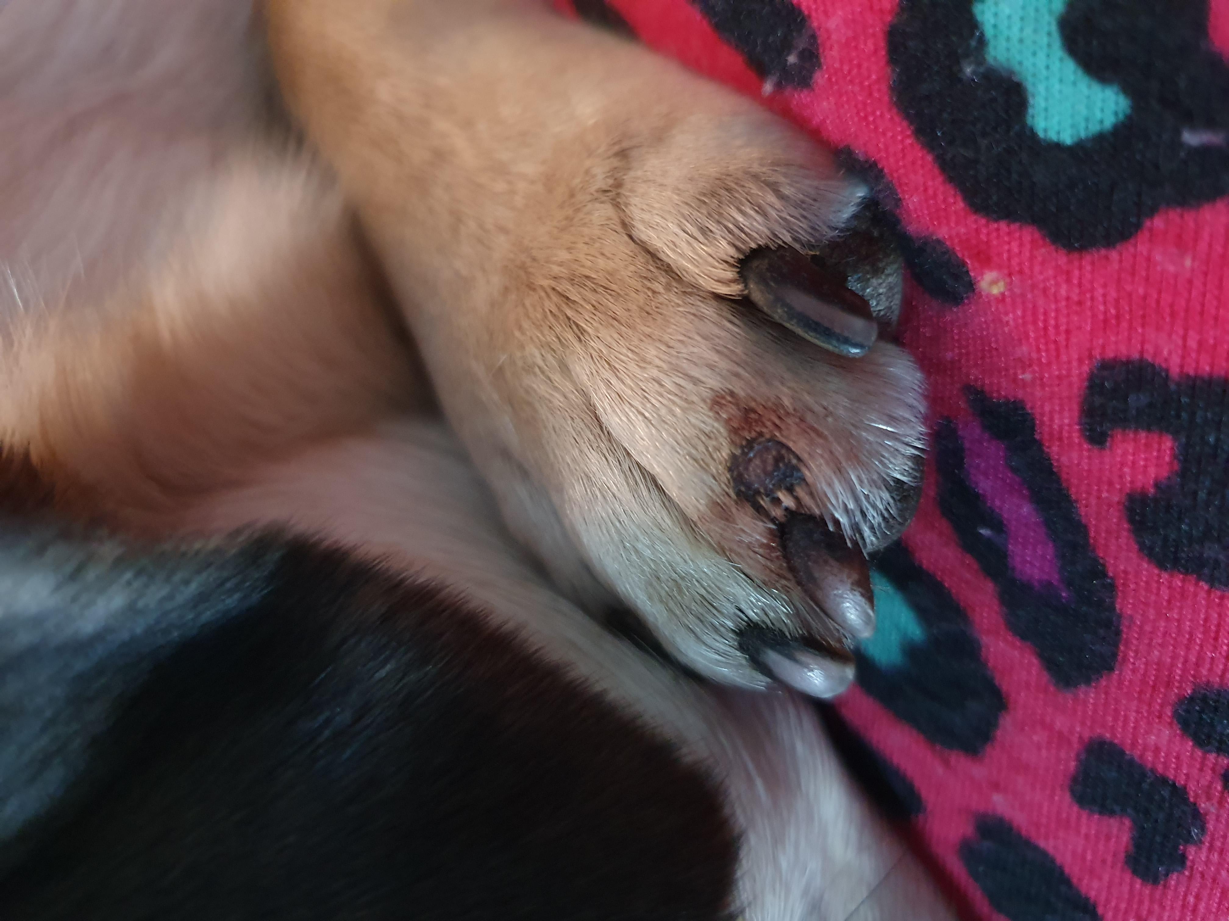 Question details sensitive content