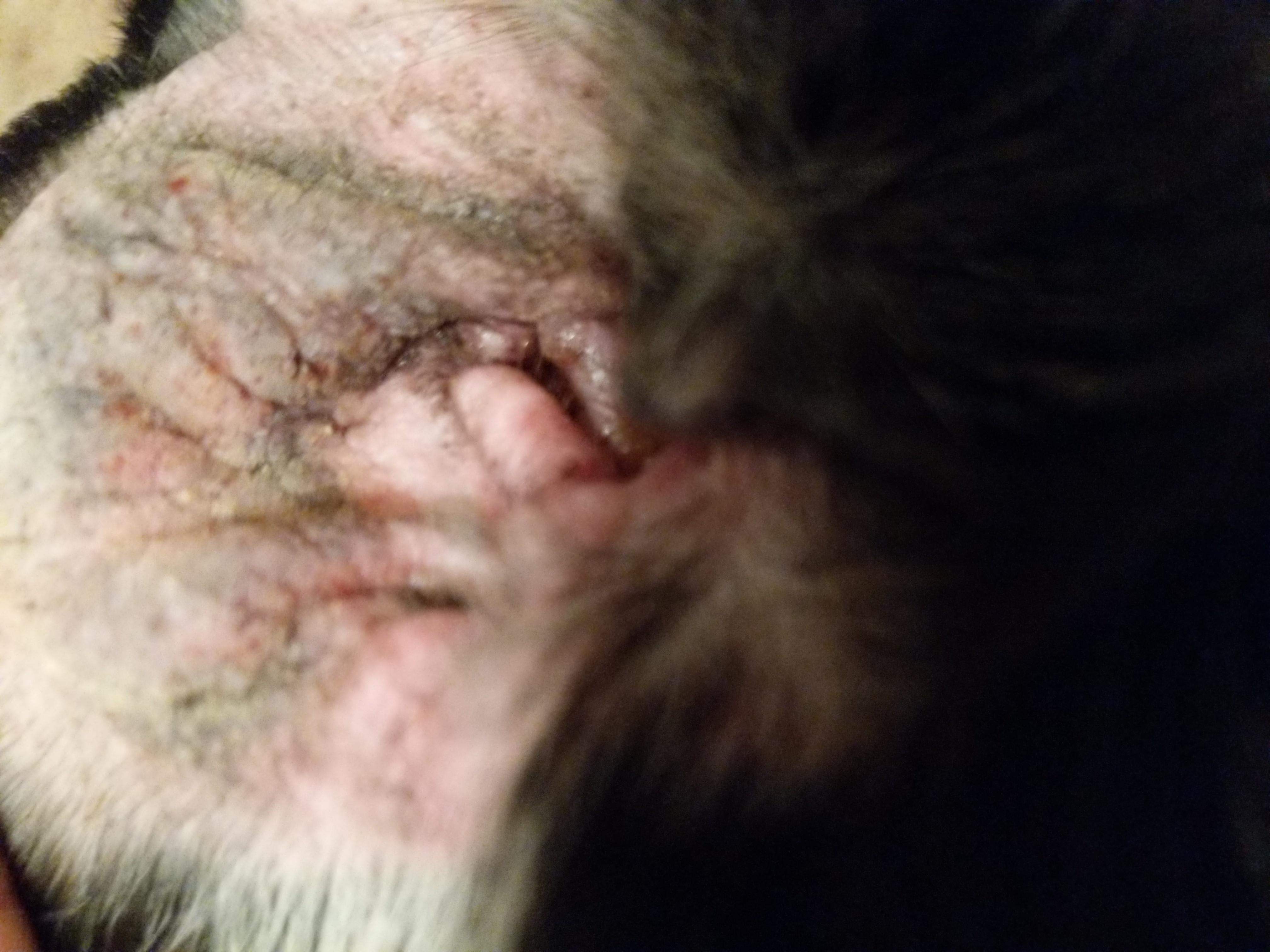 Question details sensitive content