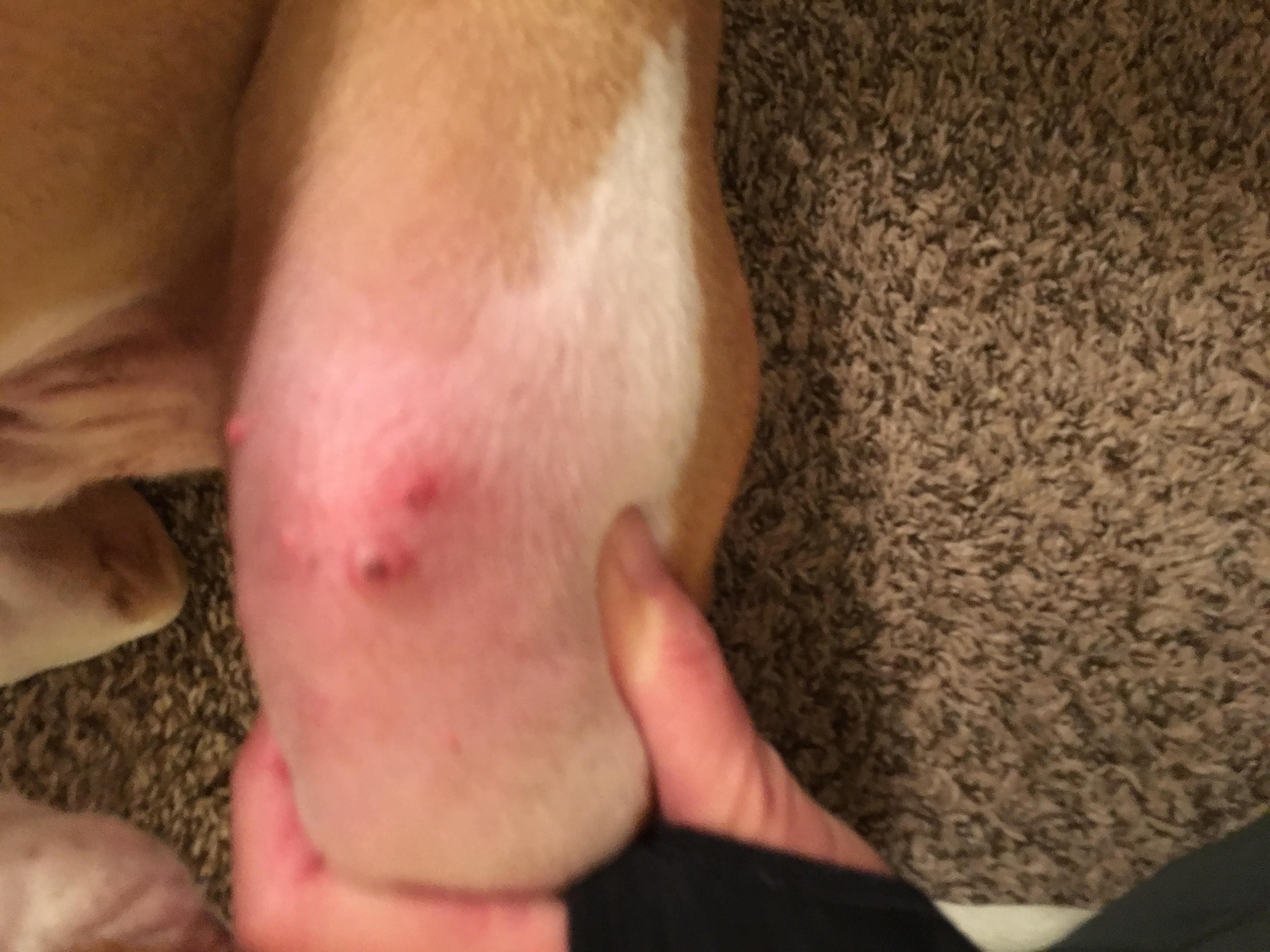 Question details sensitive content