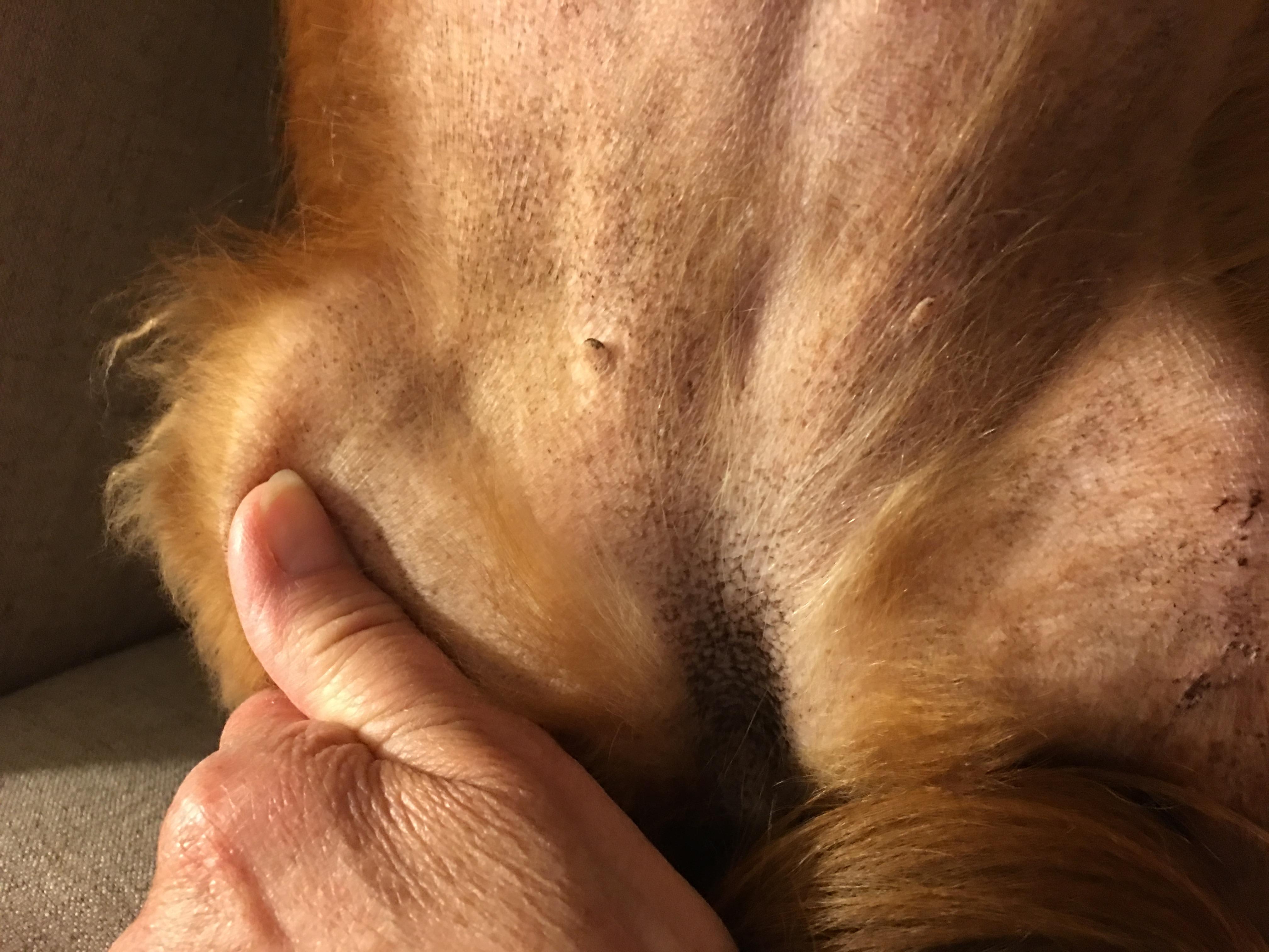 Question details sensitive content