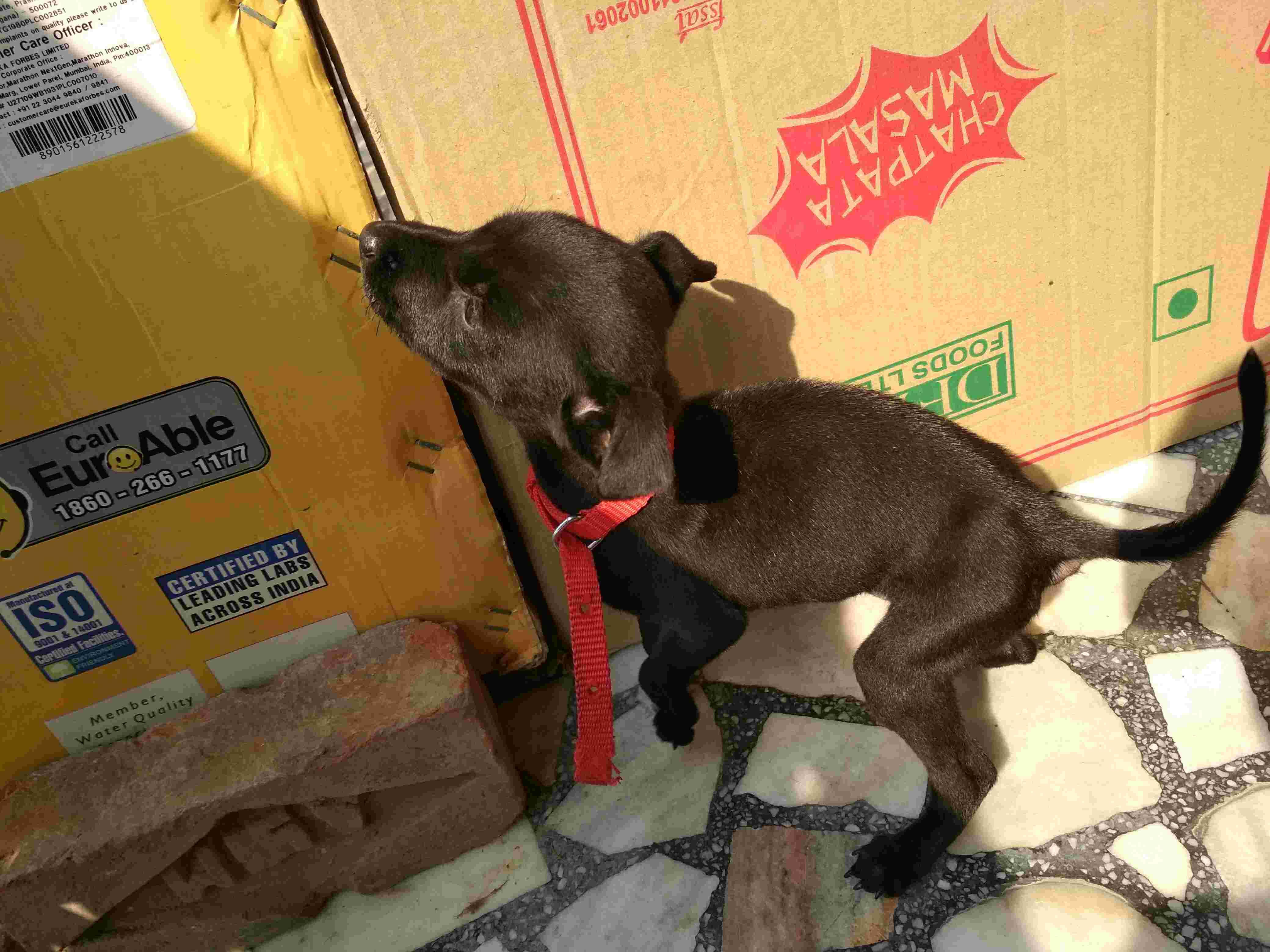 Question details sensitive content