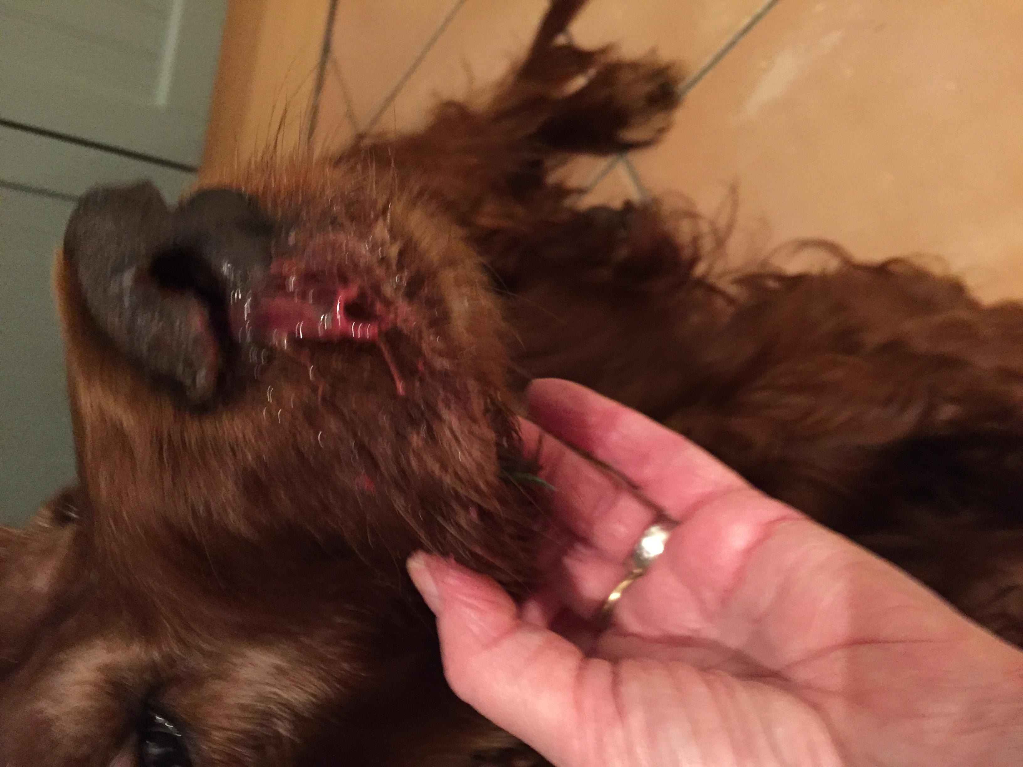 Question details sensitive content