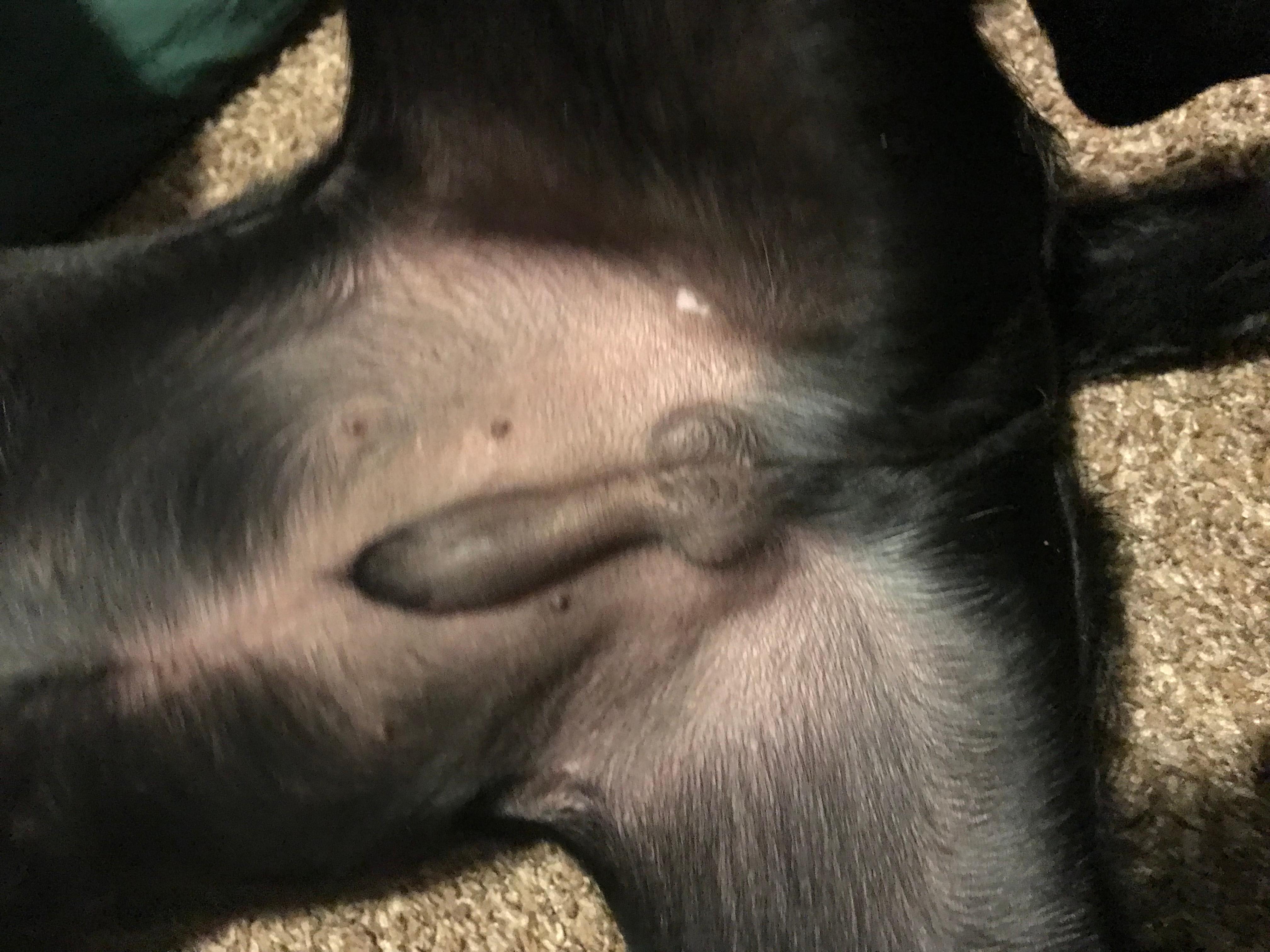 Question details sensitive content