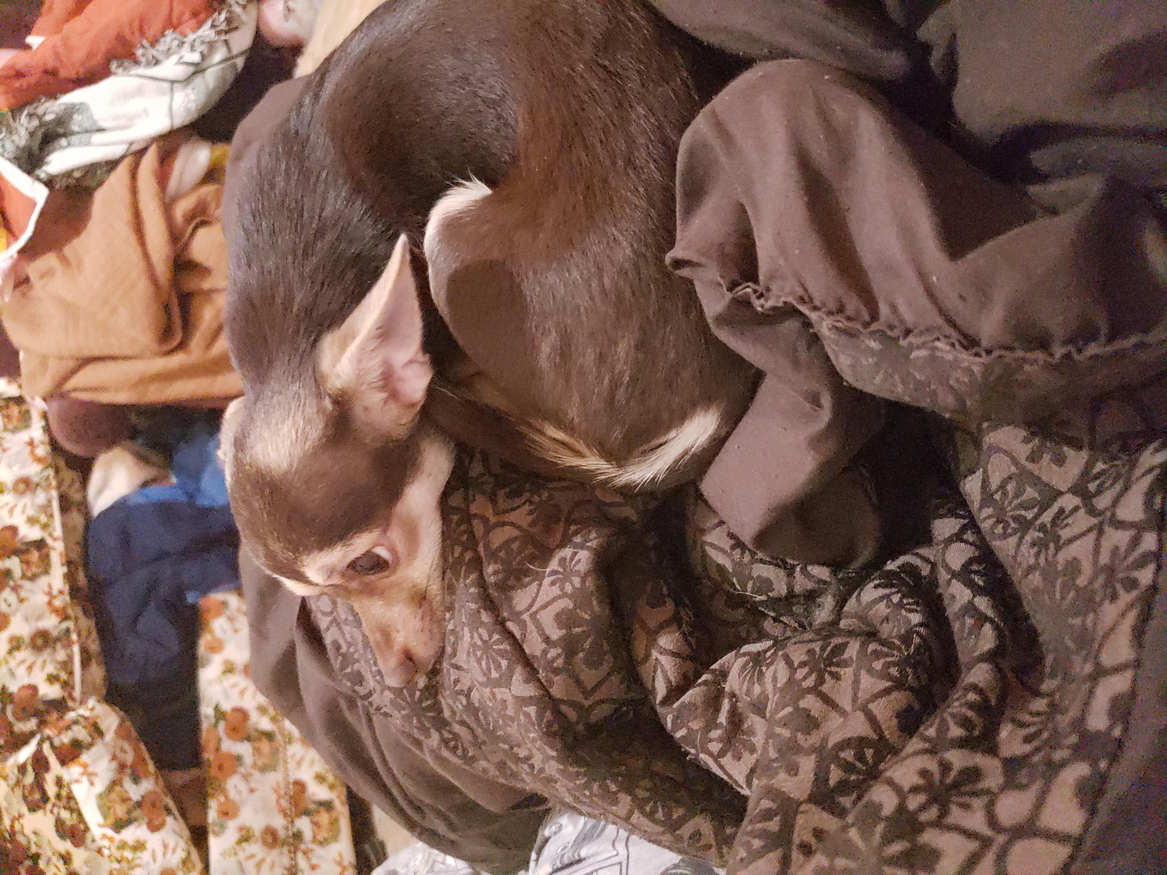 Question details sensitive content