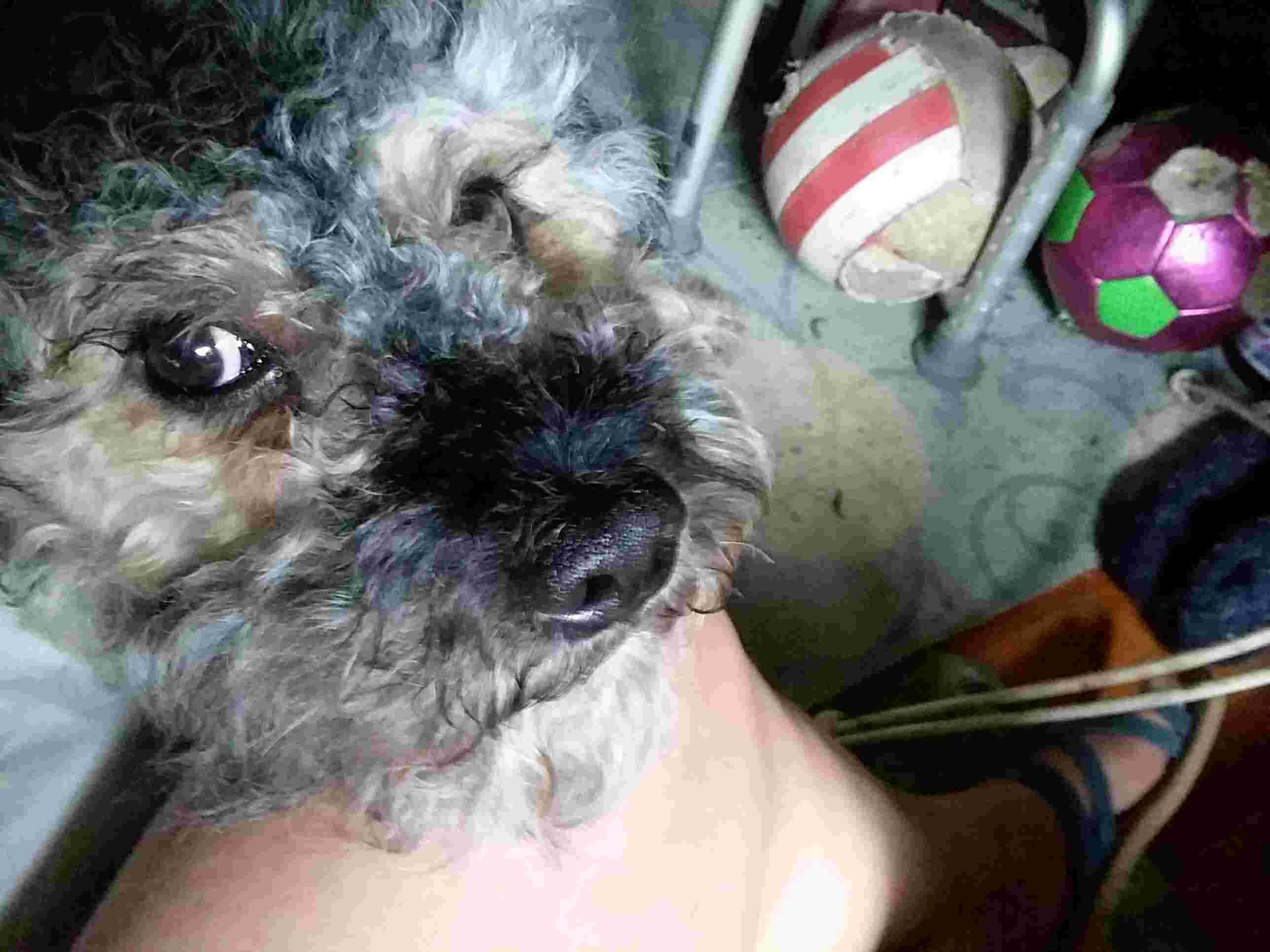 Question details sensitive content