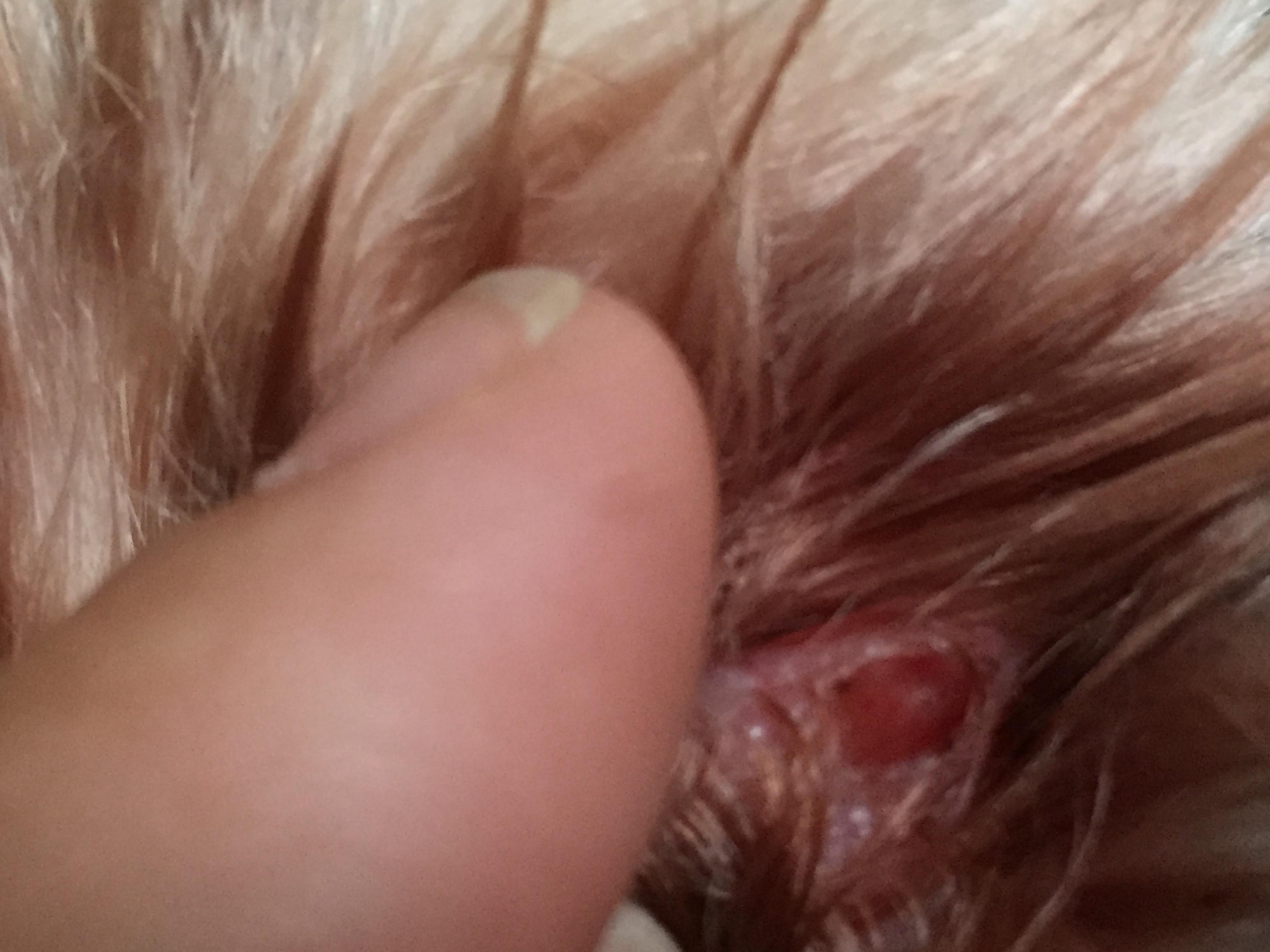 Question details sensitive content