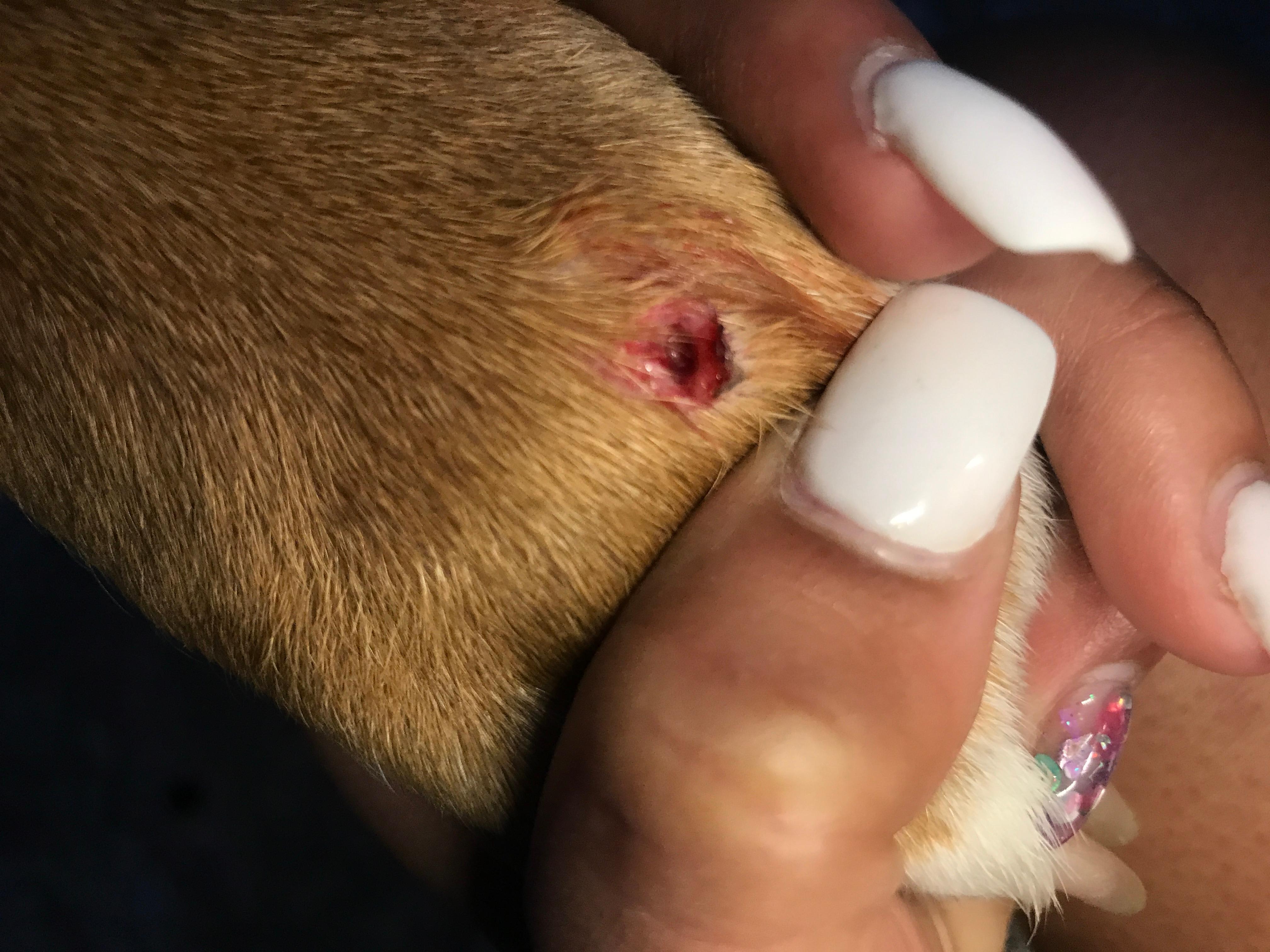 Question details sensitive content