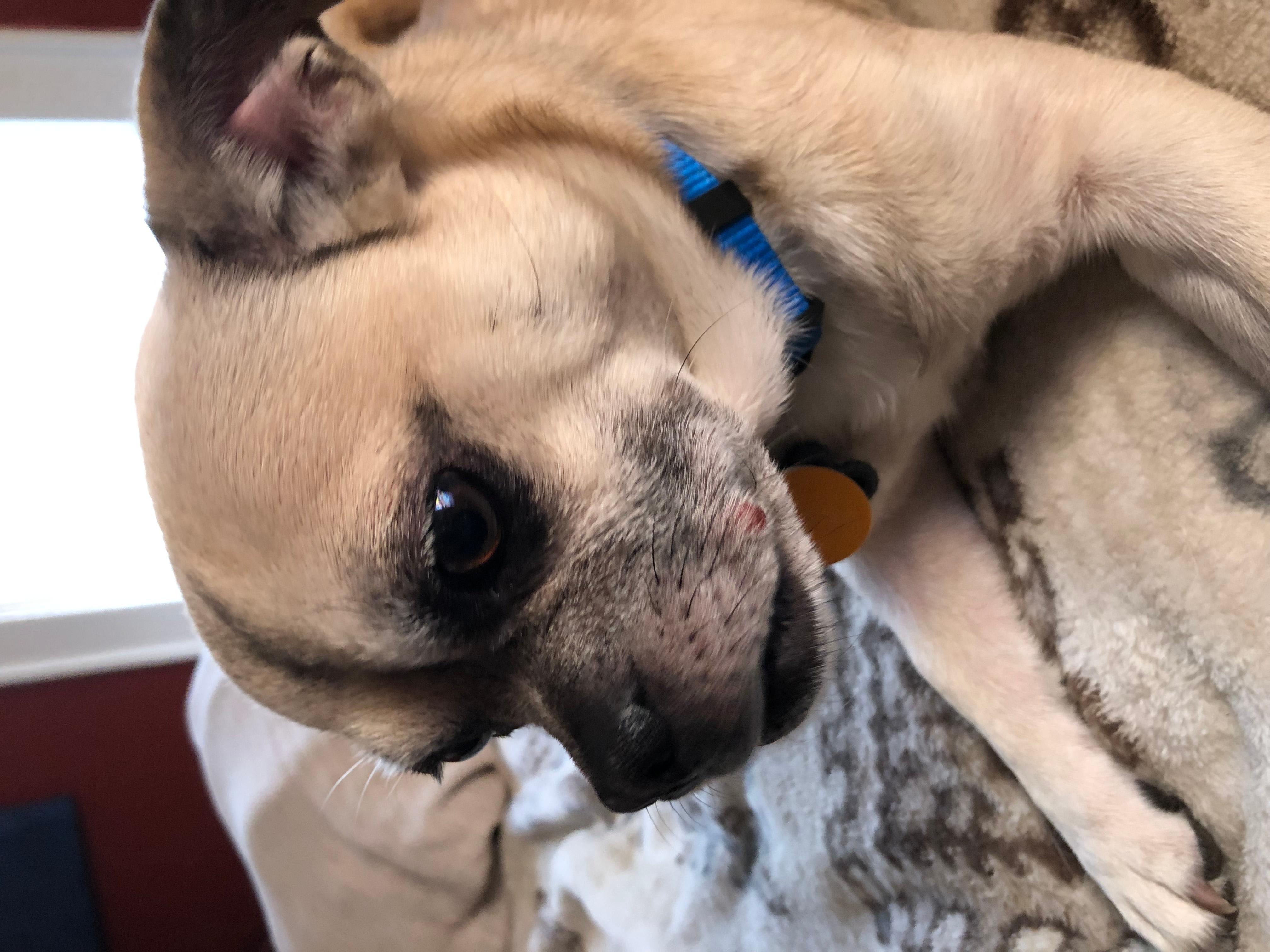 Question details sensitive content