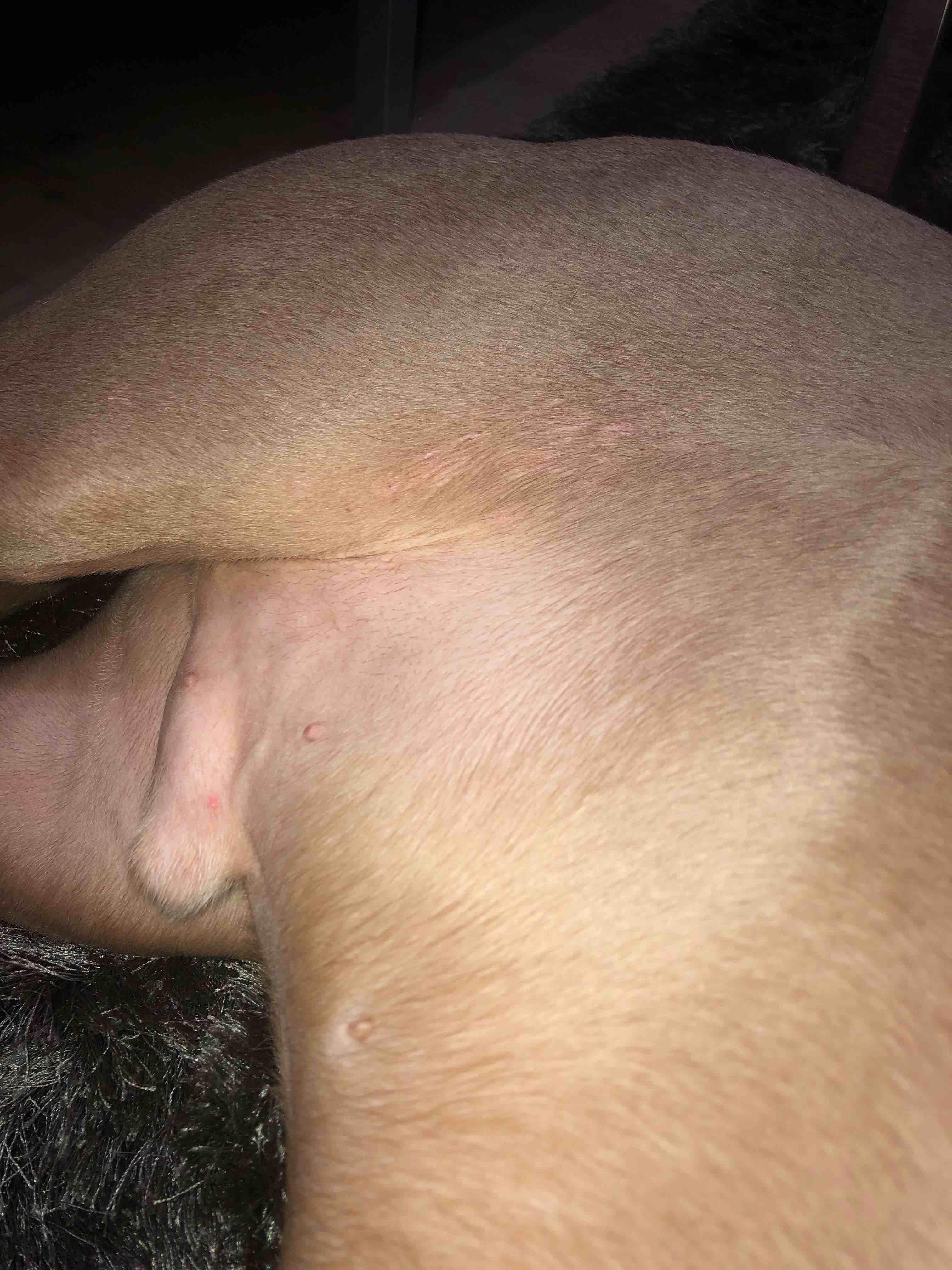 Question details sensitive content