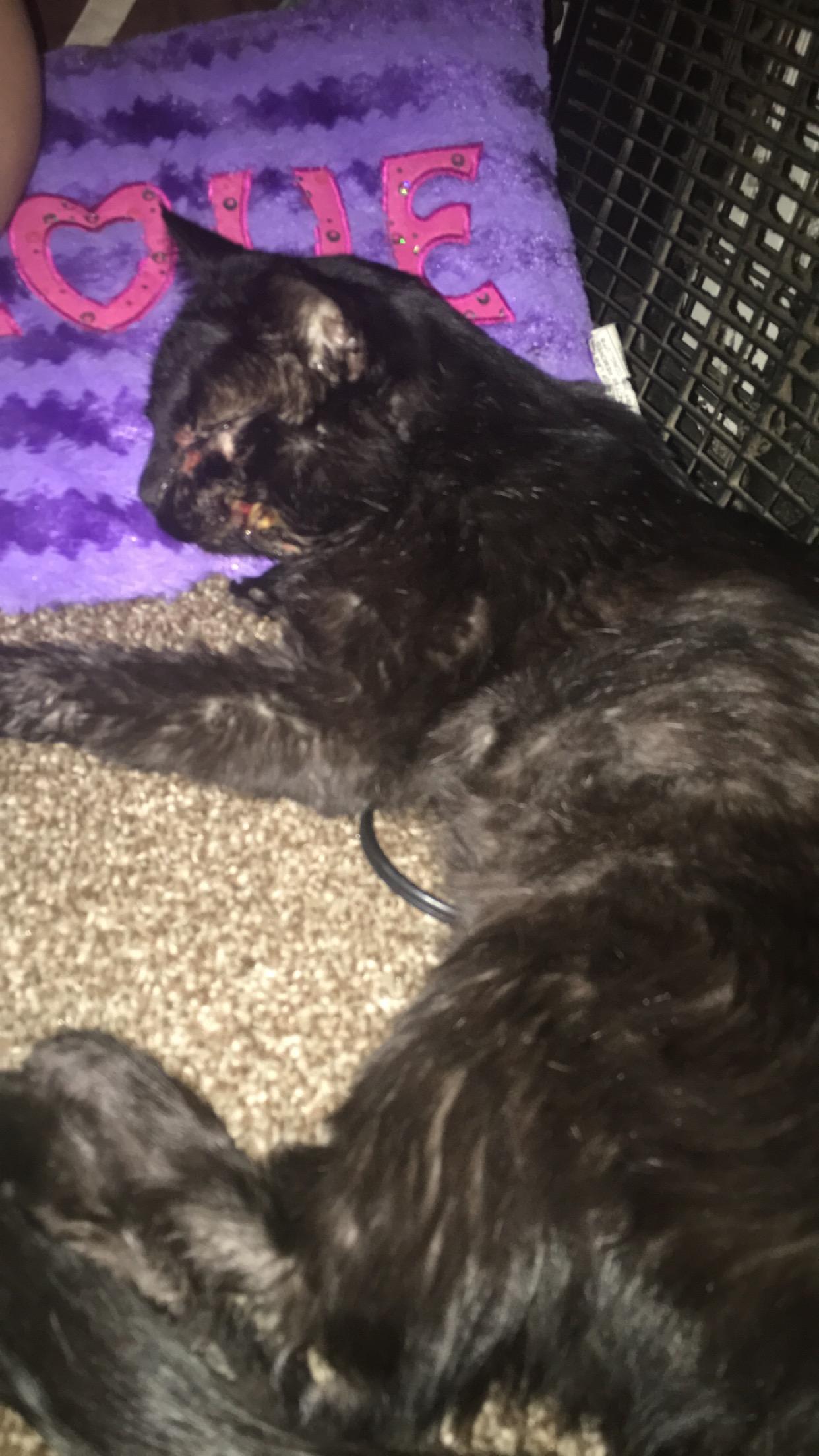 Question details sensitive content