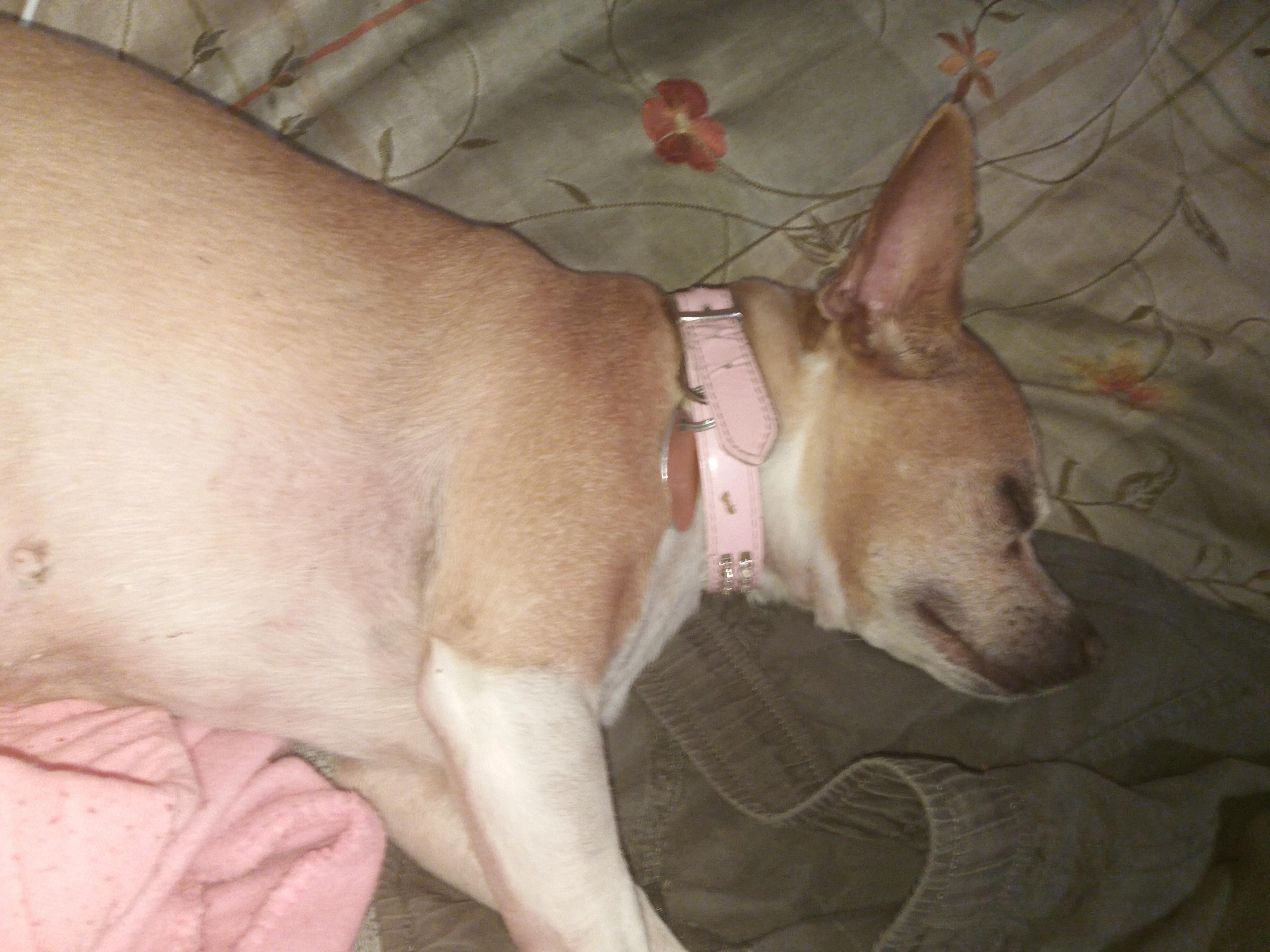 Question details sensitive content