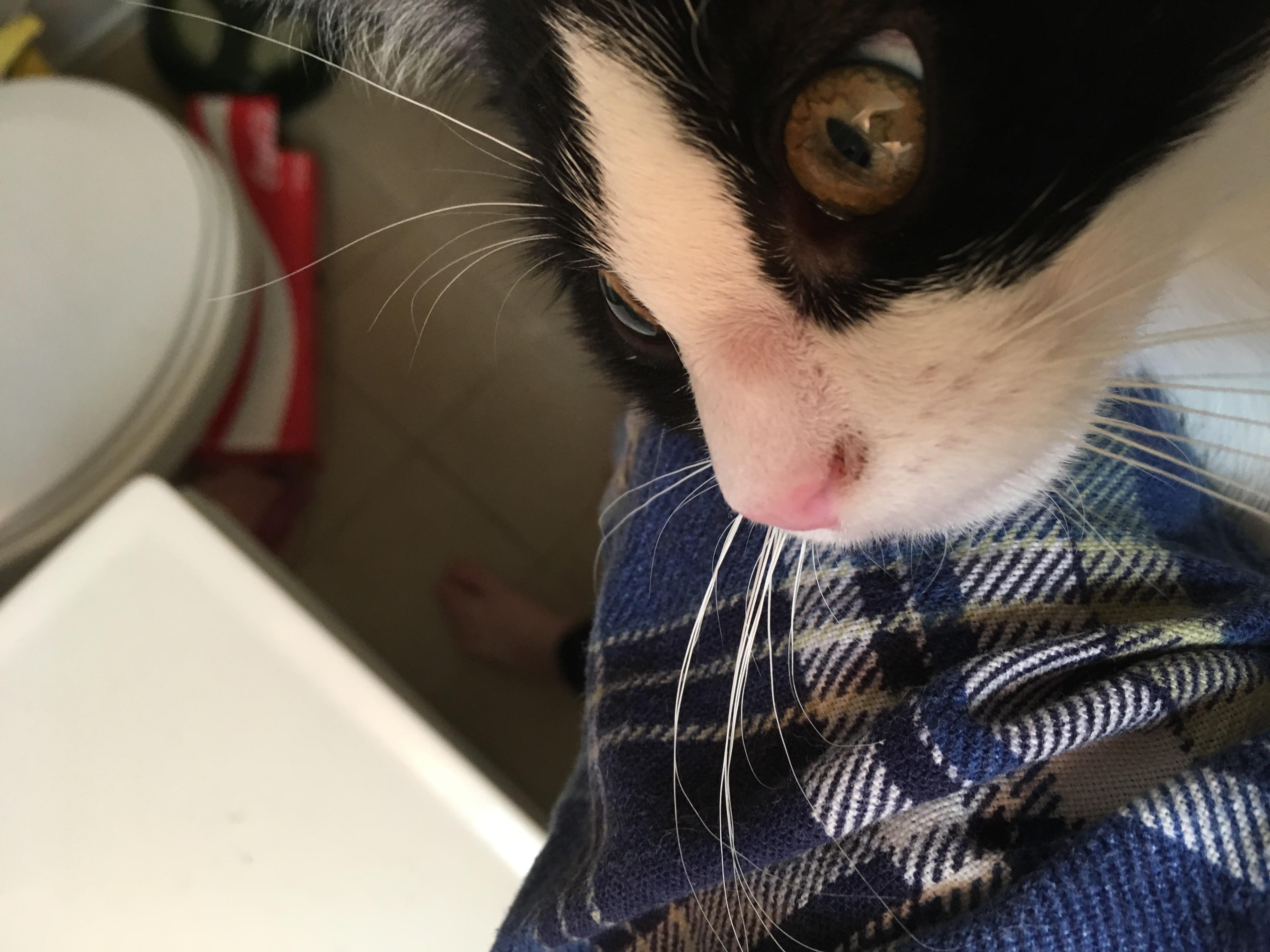 Question details sensitive content