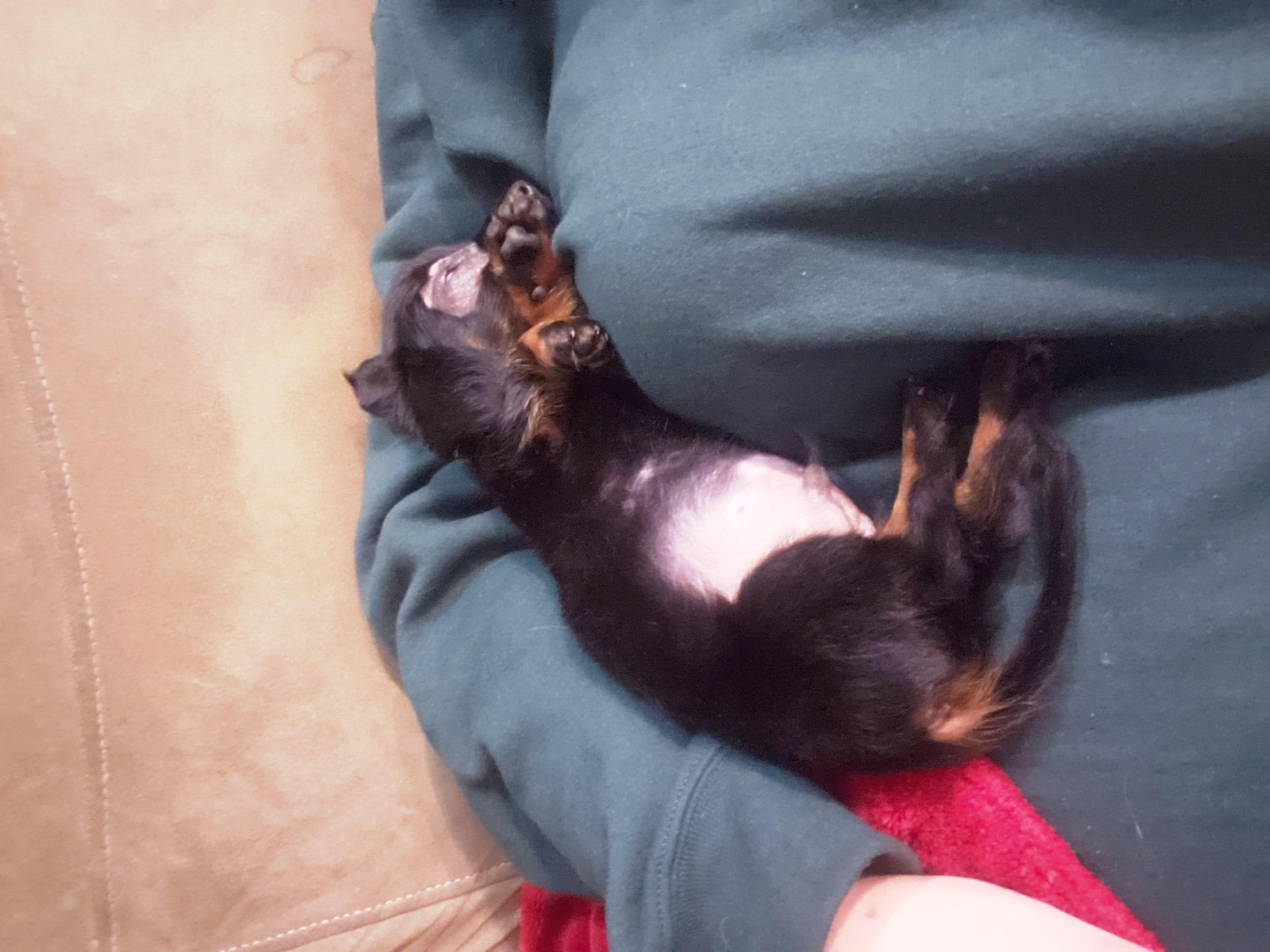 Question details sensitive content