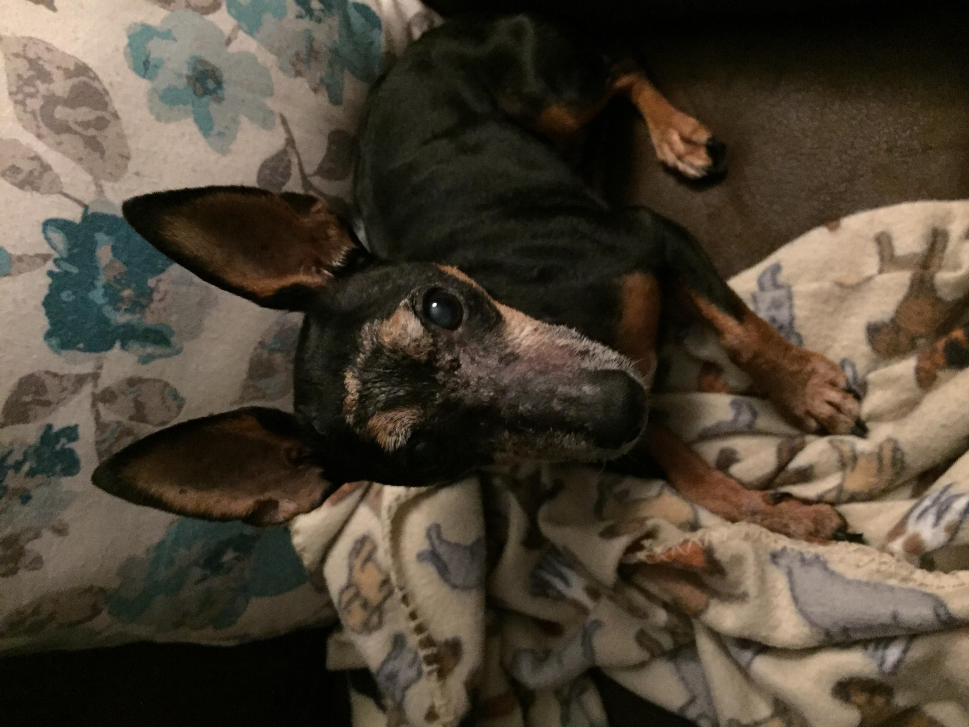 Question details sensitive content