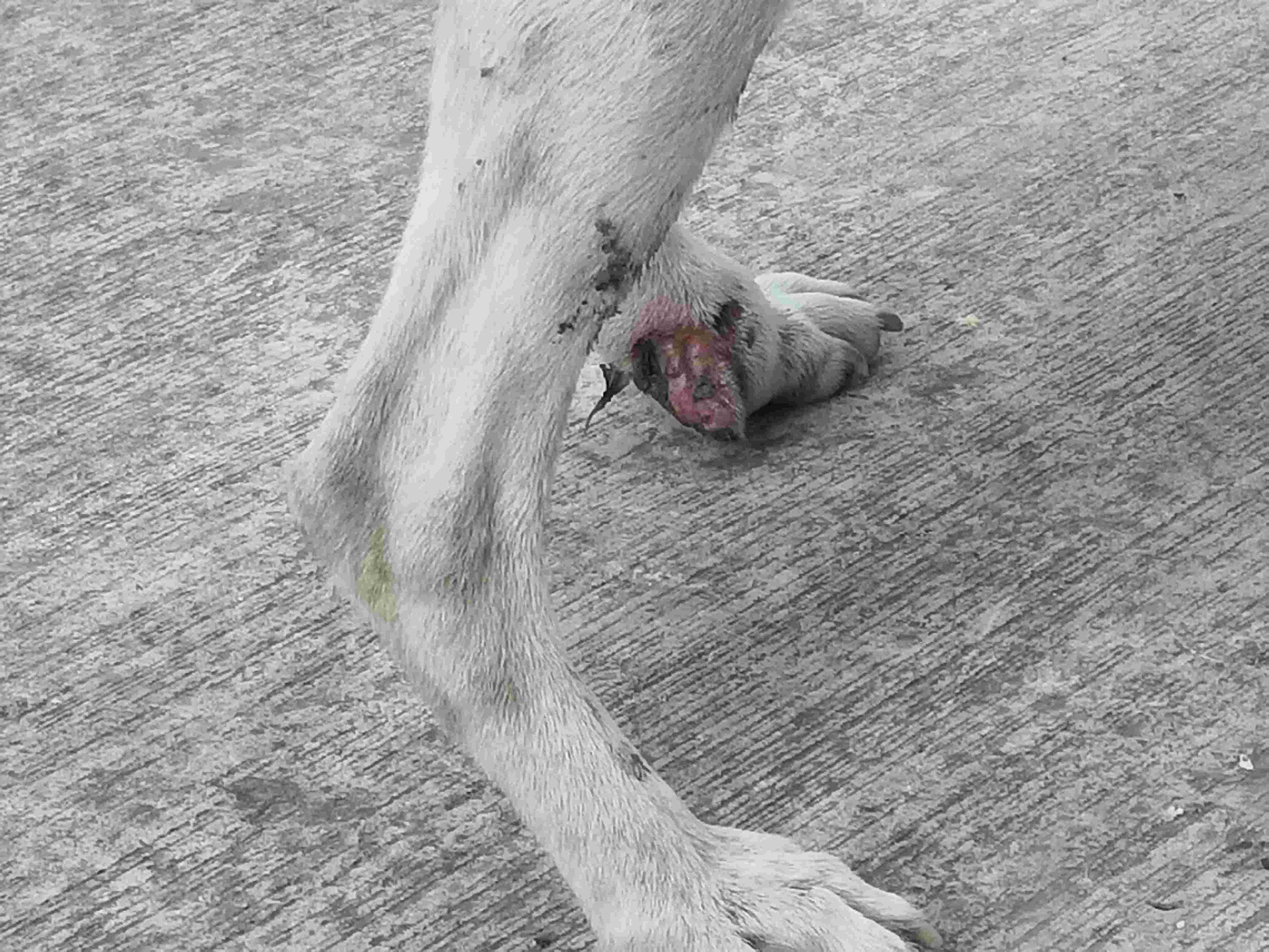 Question details sensitive content