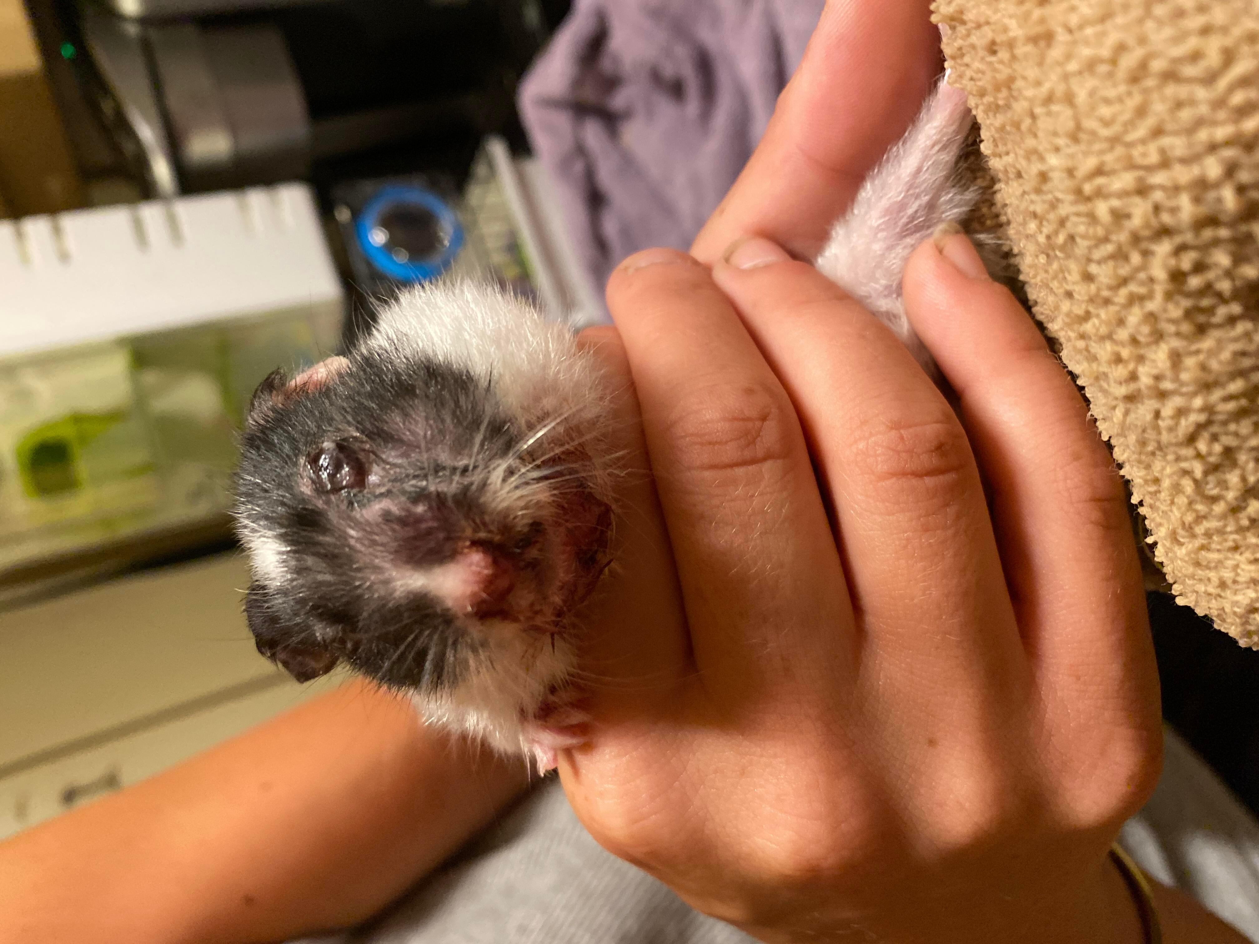 Question details sensitive content