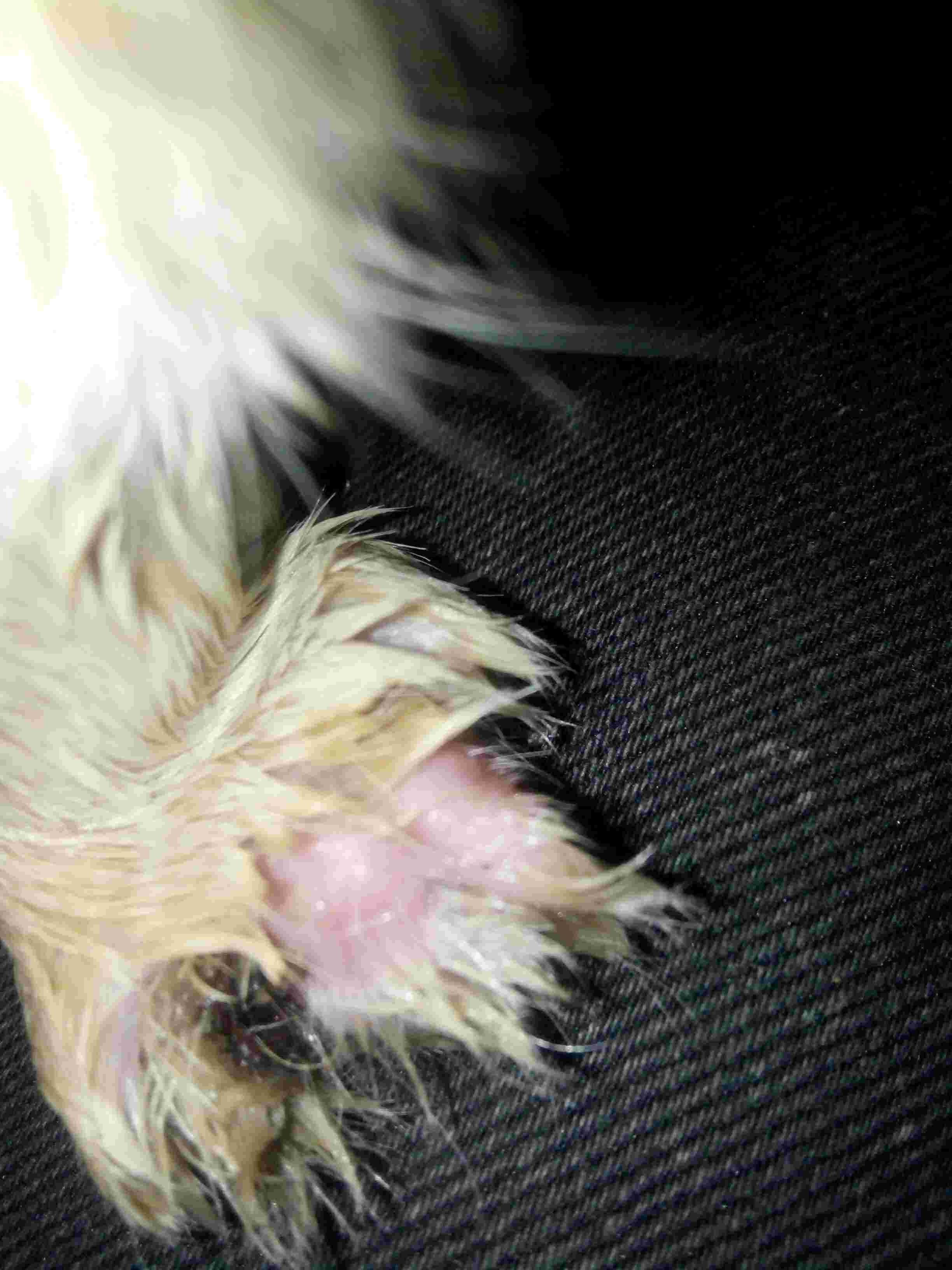 Question details sensitive content