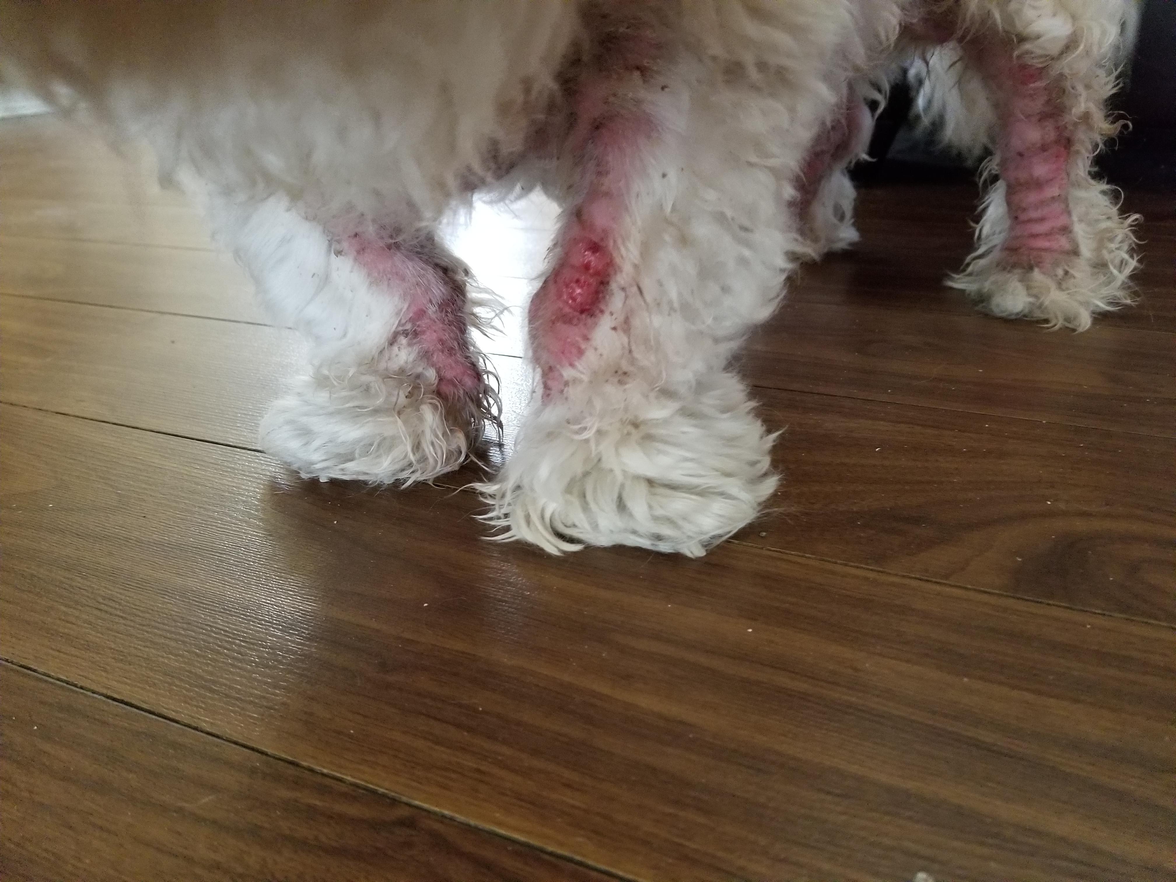 Question details sensitive content