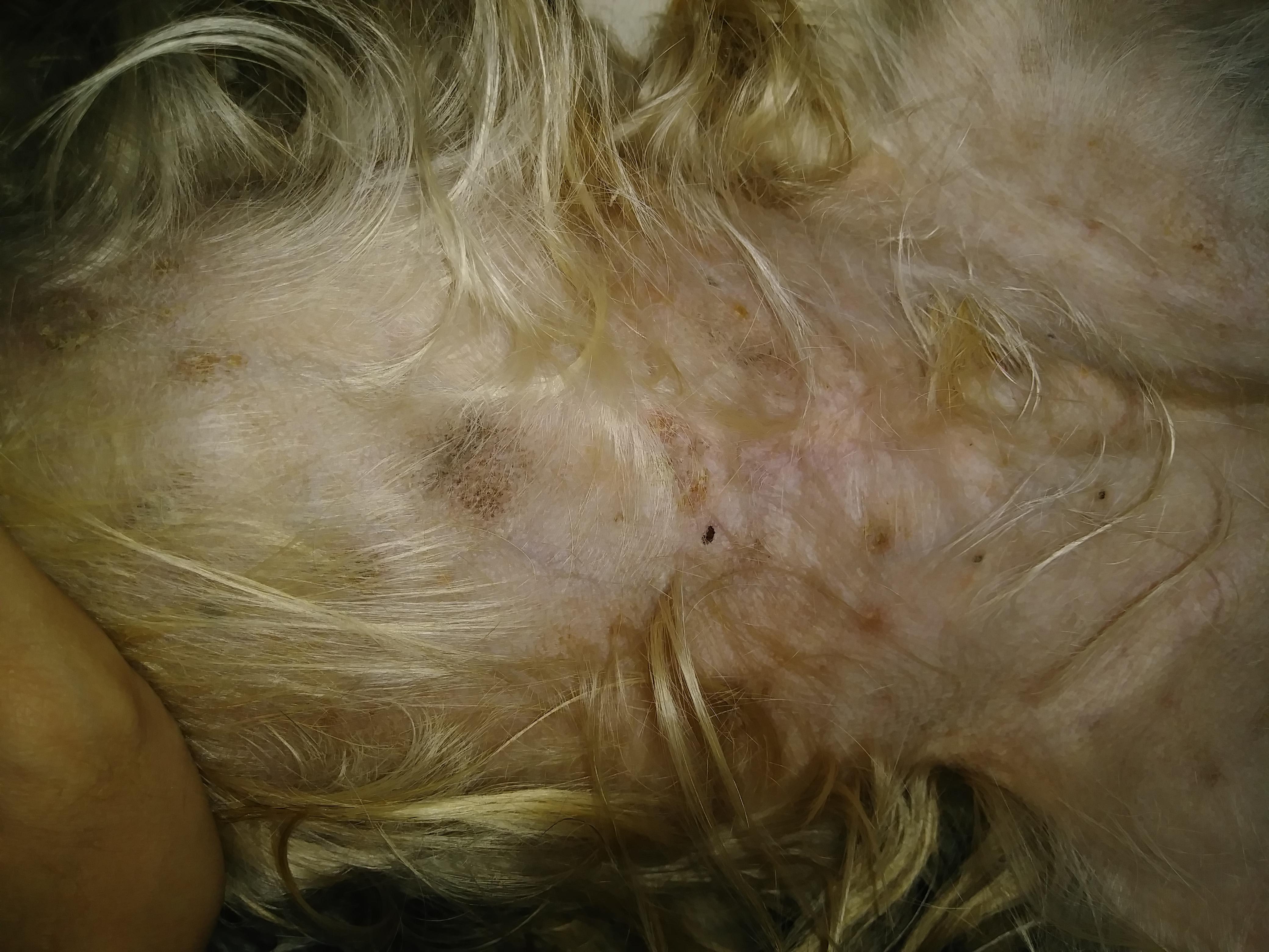 Question details sensitive content