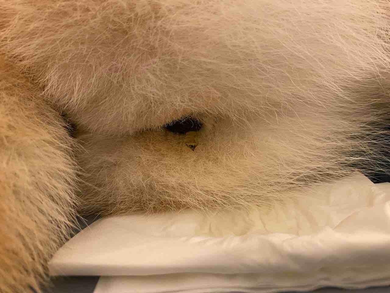 Question details sensitive content