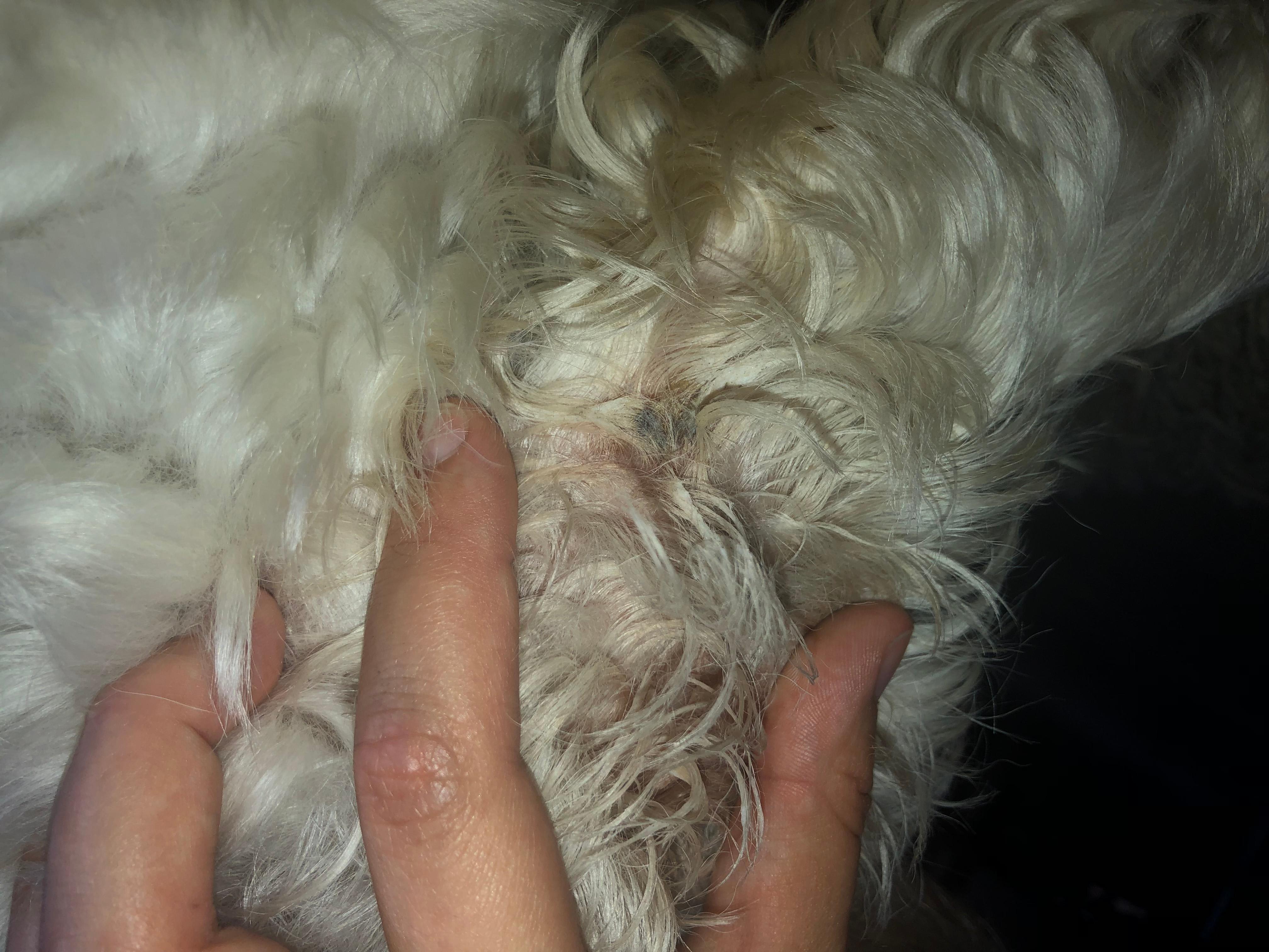 Question details sensitive content