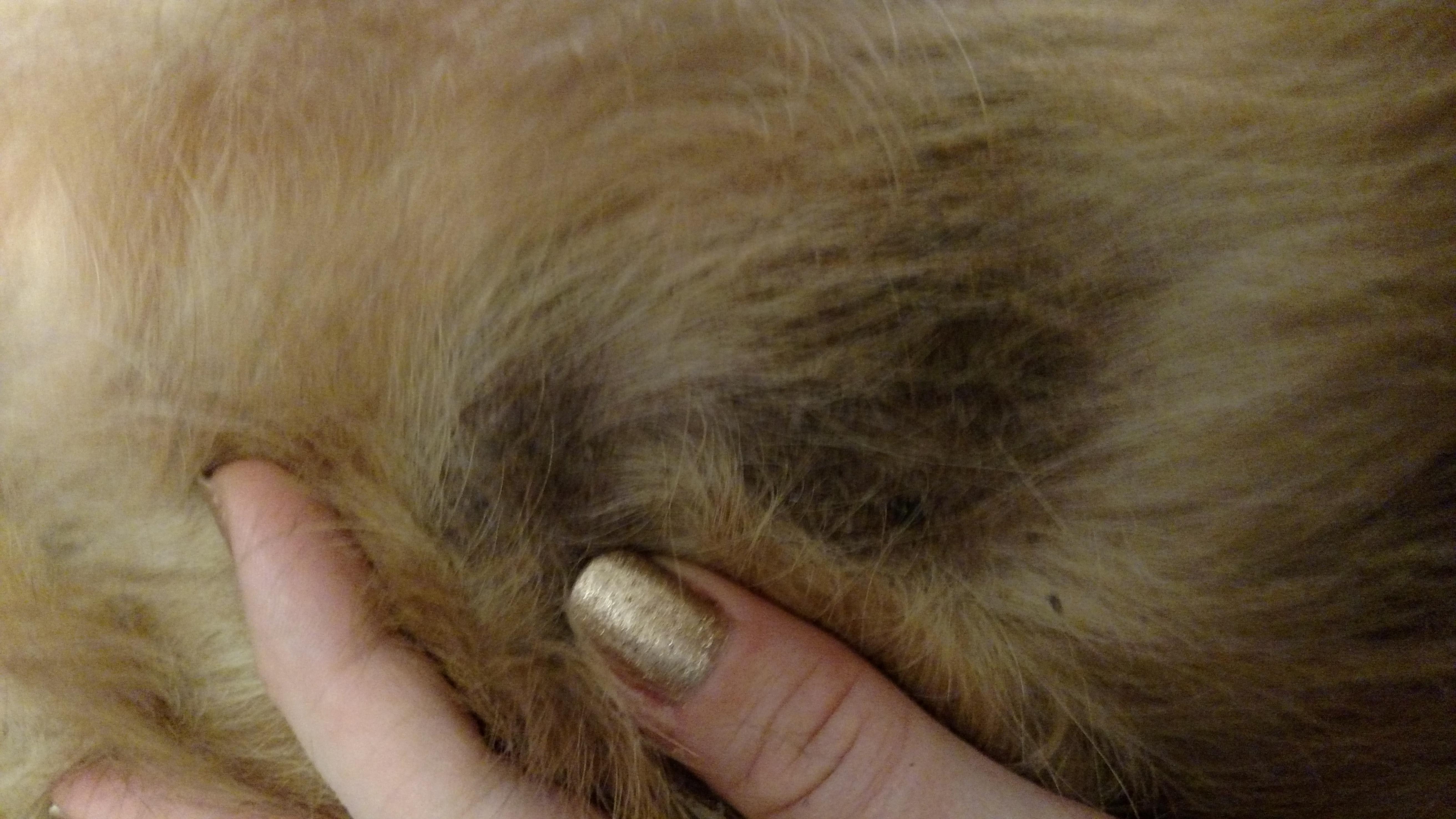 Question details sensitive content