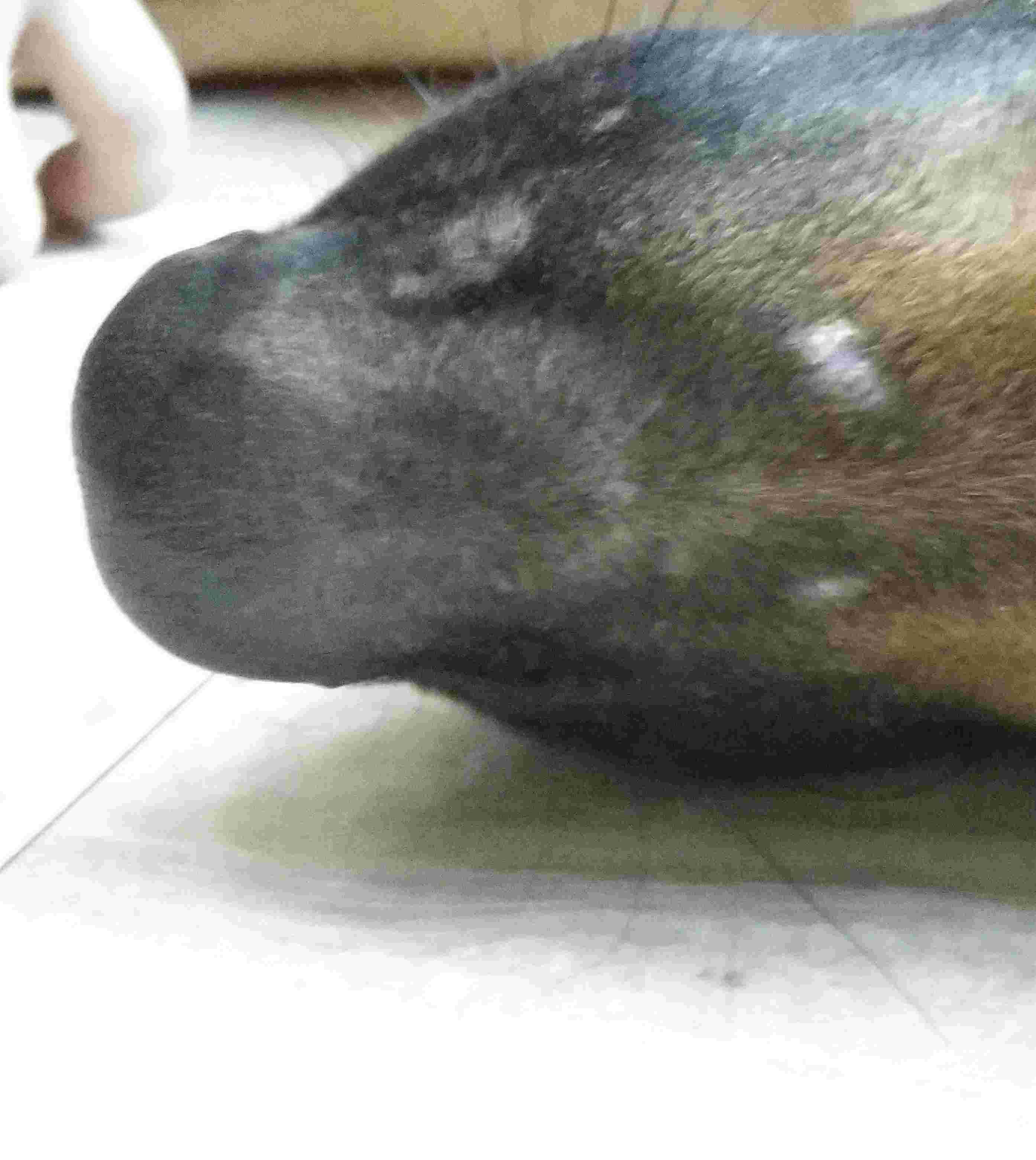 Question details sensitive content