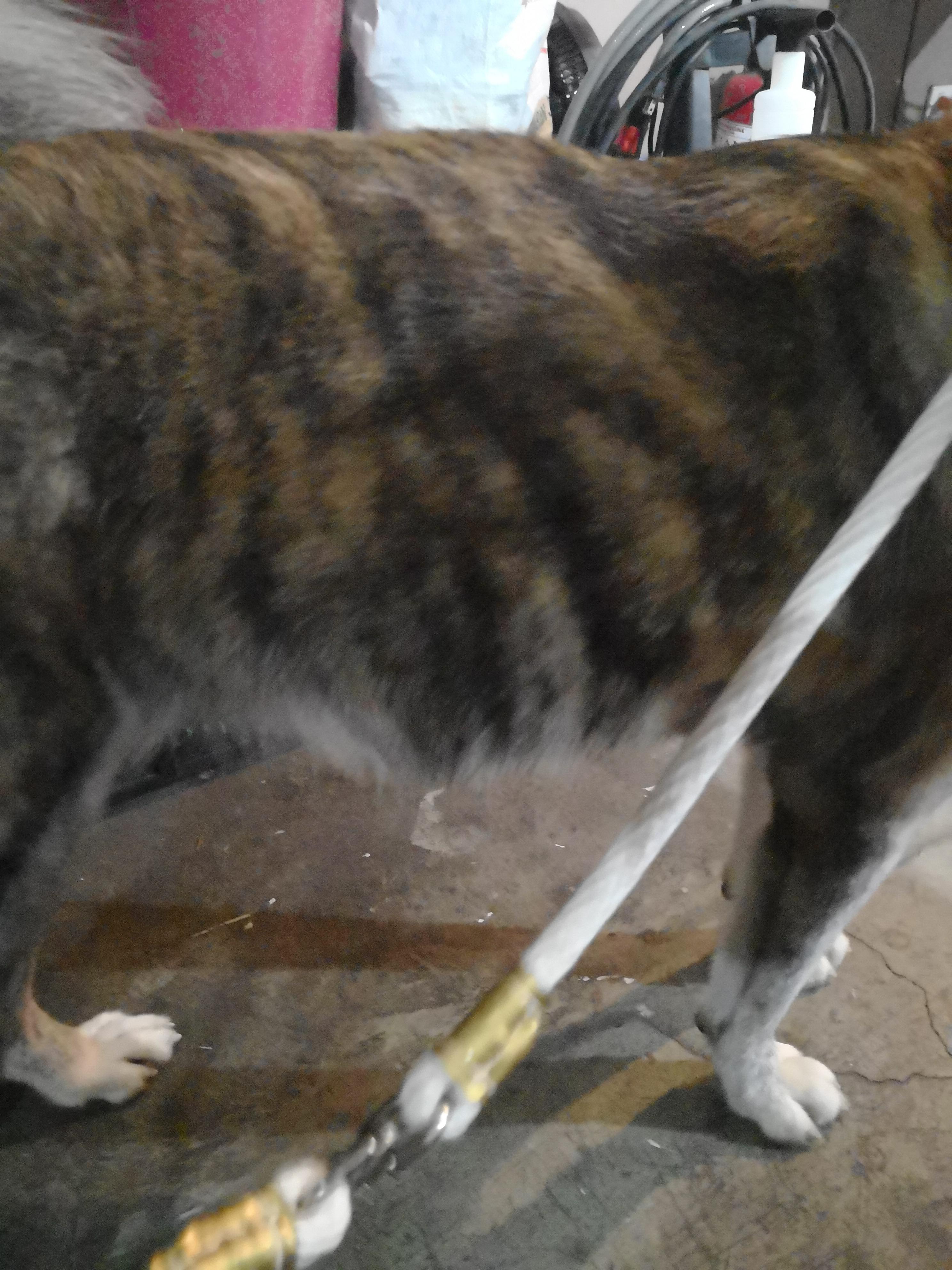 Question details sensitive content