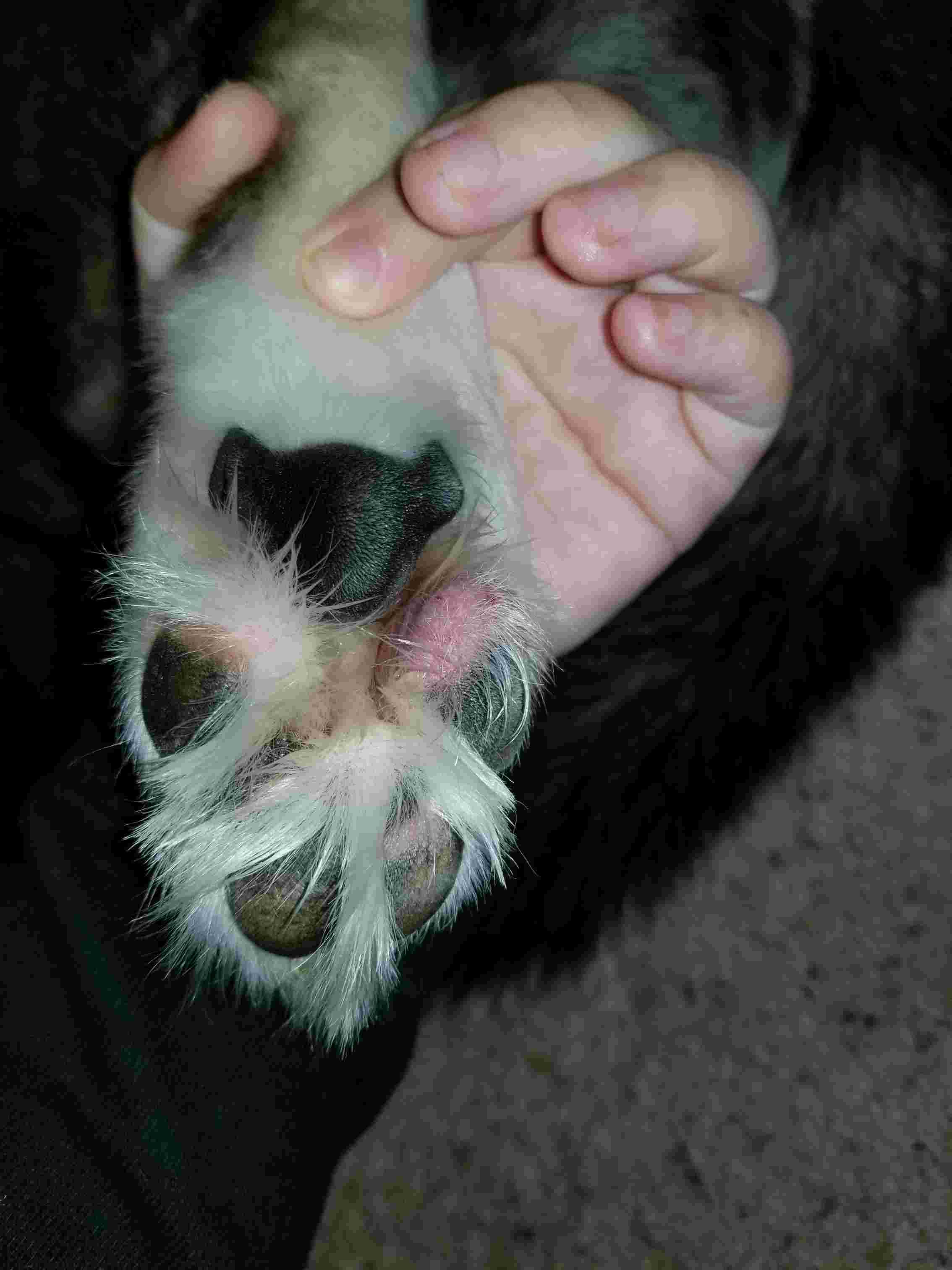 Question details sensitive content