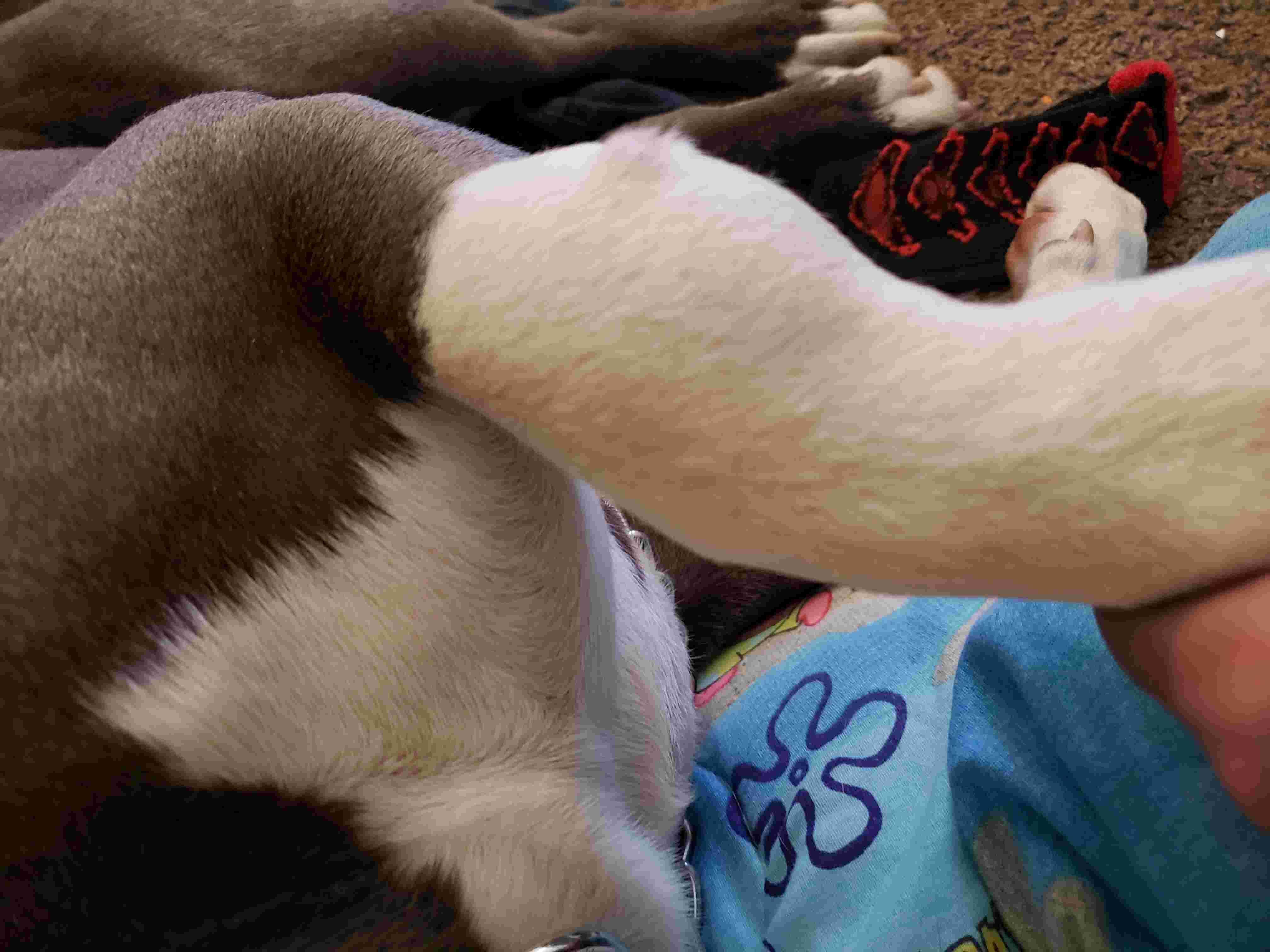 Question details sensitive content