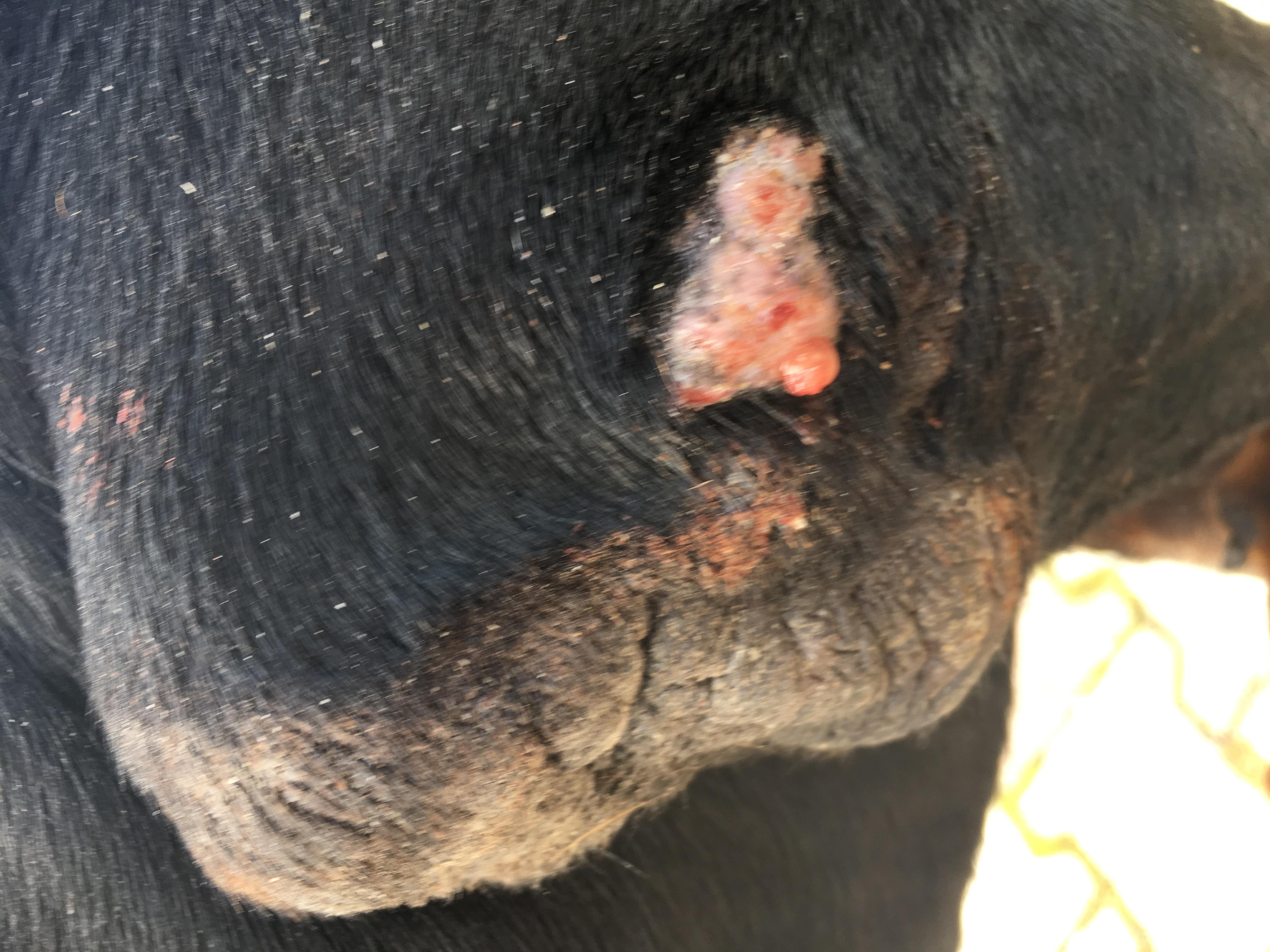 Question details sensitive content