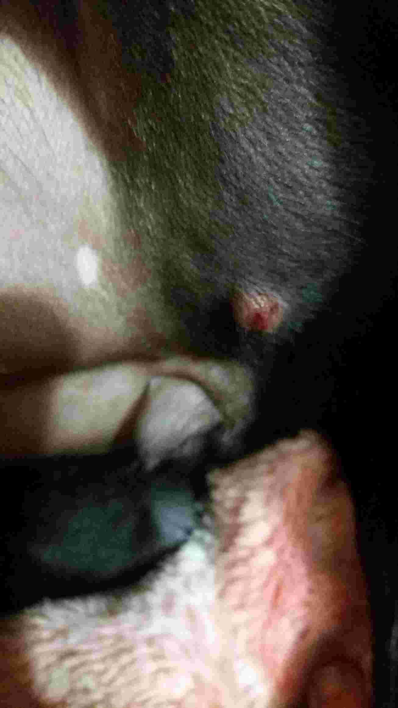 Question details sensitive content