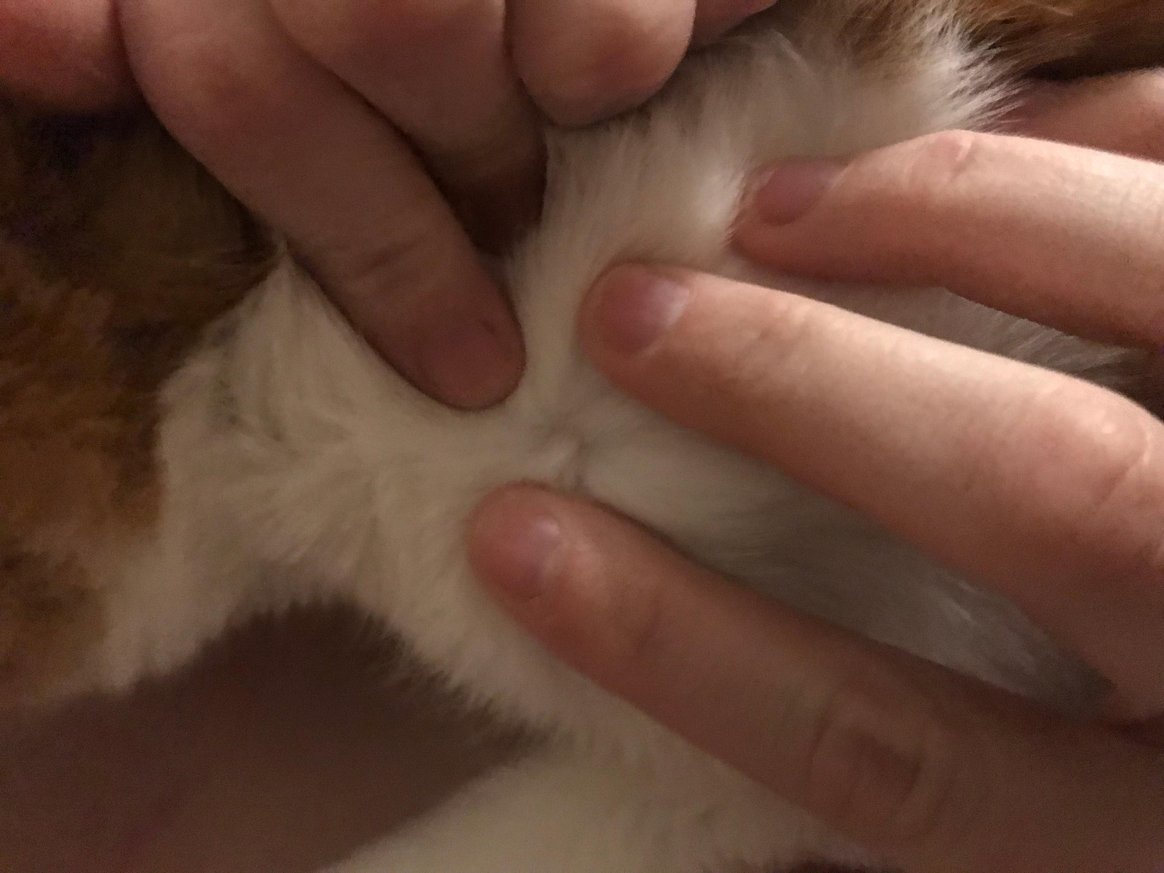 Question details sensitive content