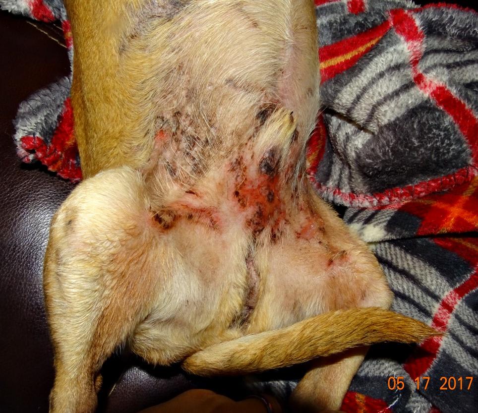 Question details sensitive content