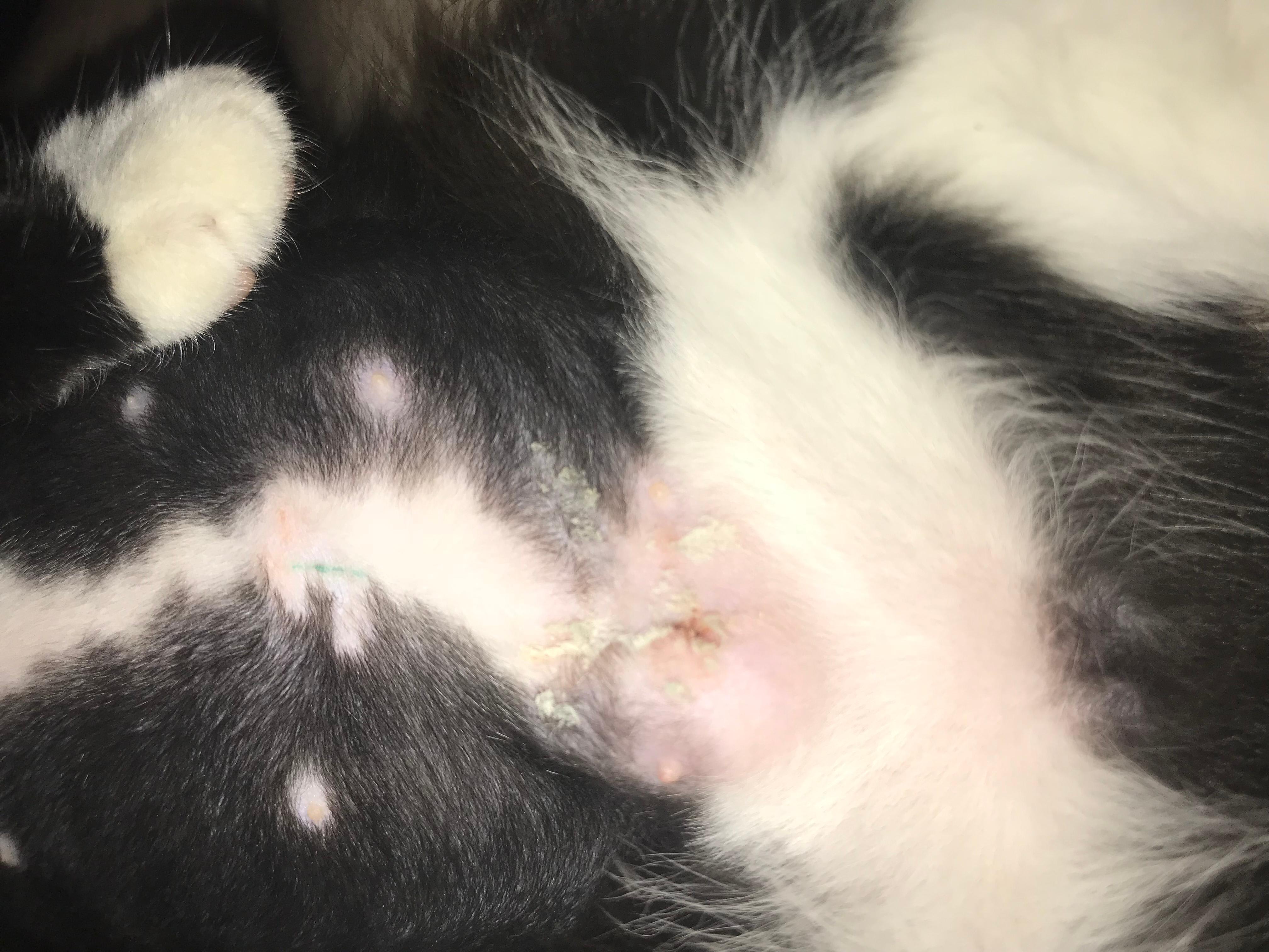 Question details sensitive content