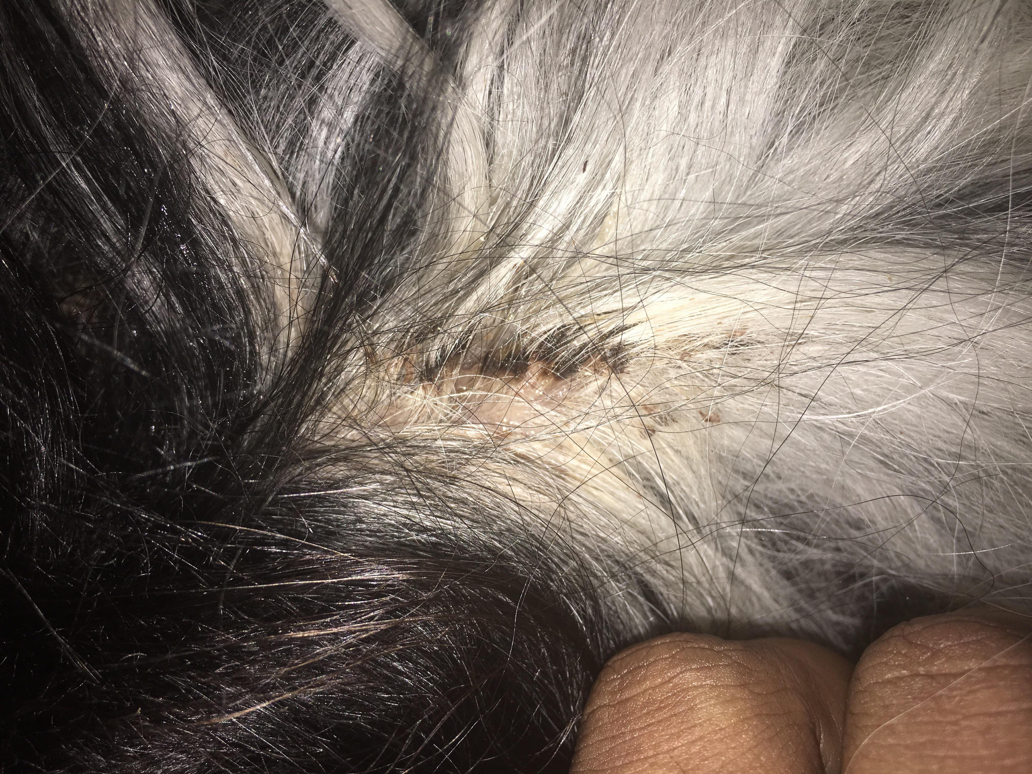 Question details sensitive content