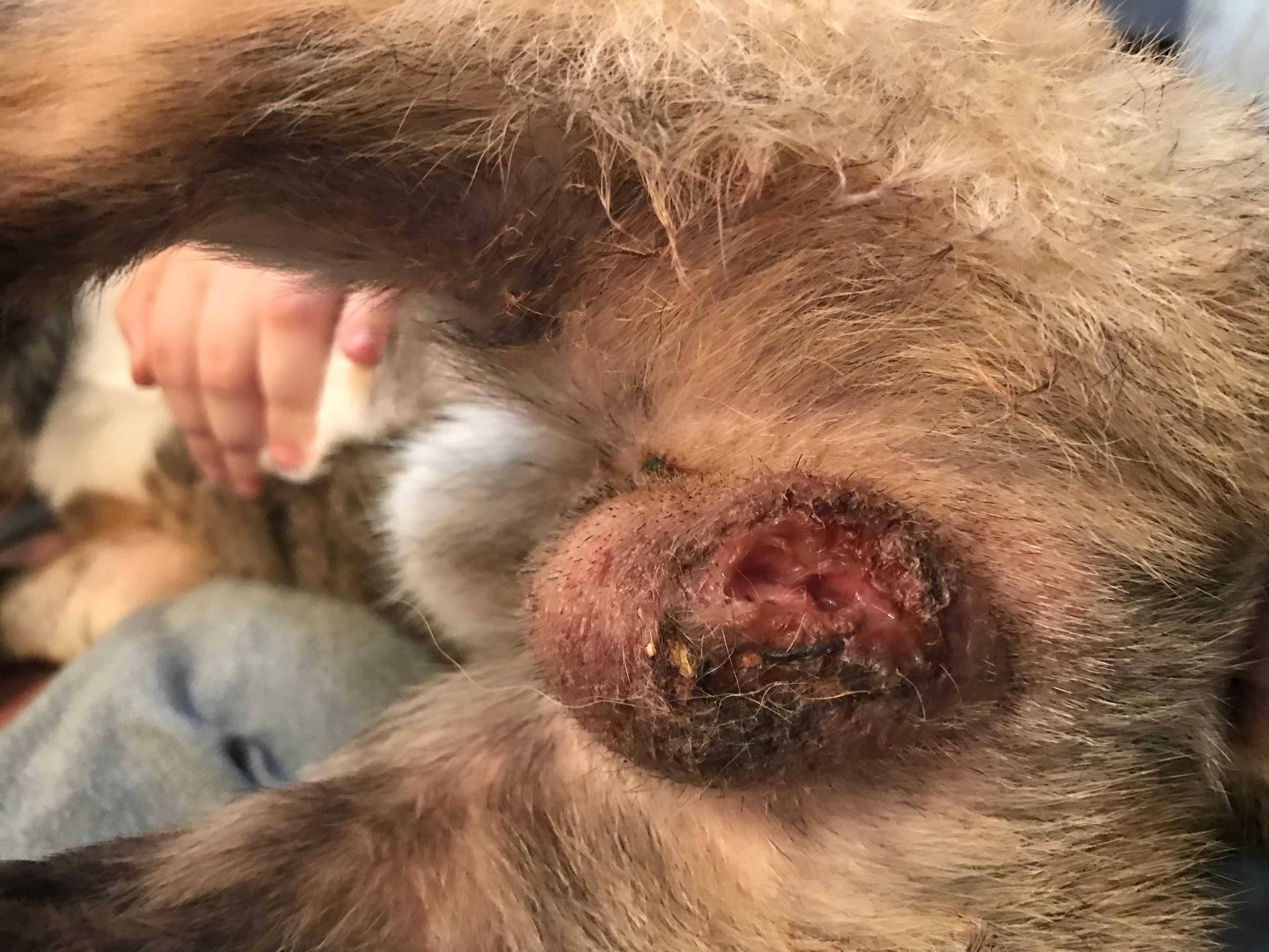 Question details sensitive content