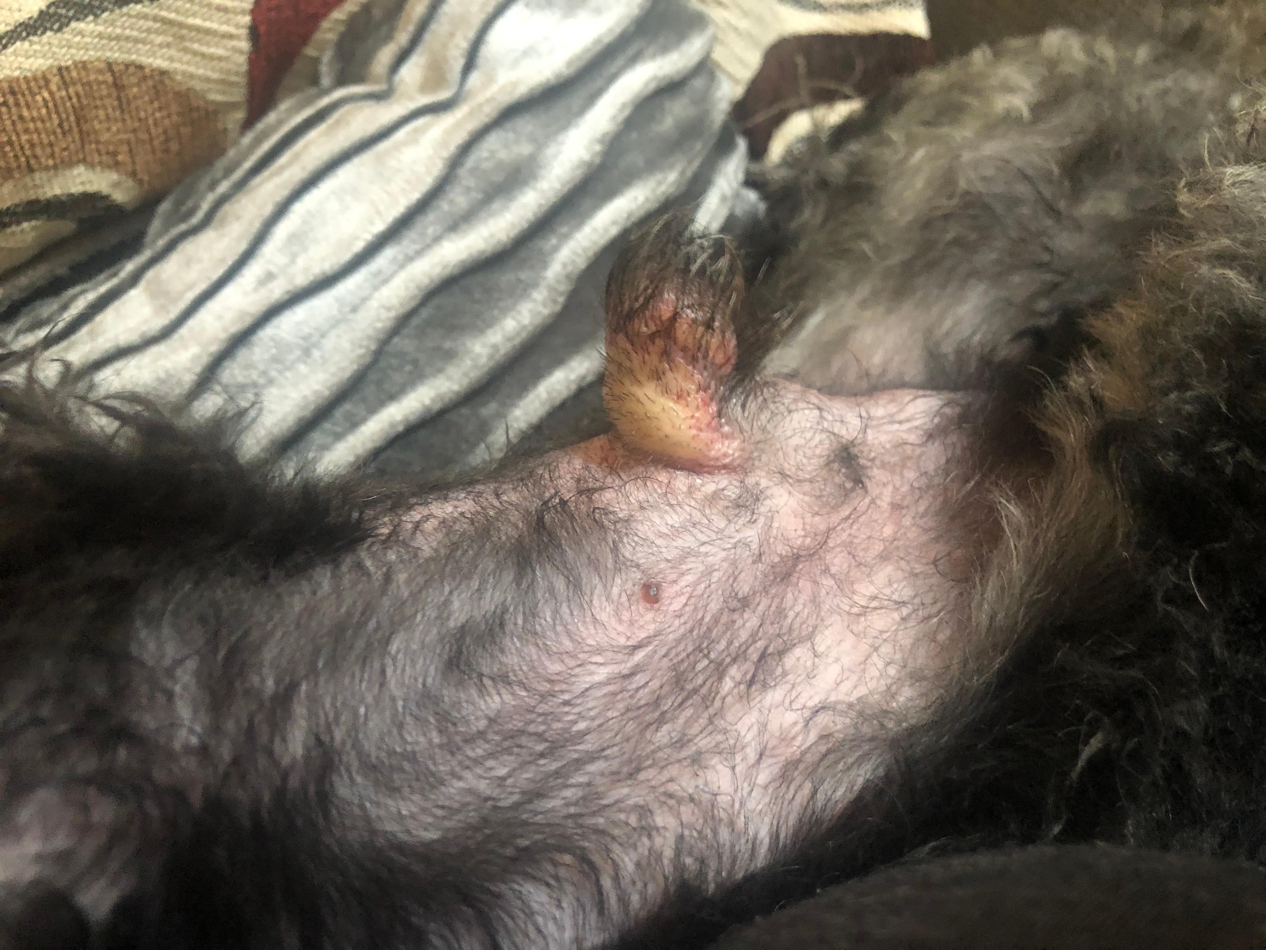 Question details sensitive content