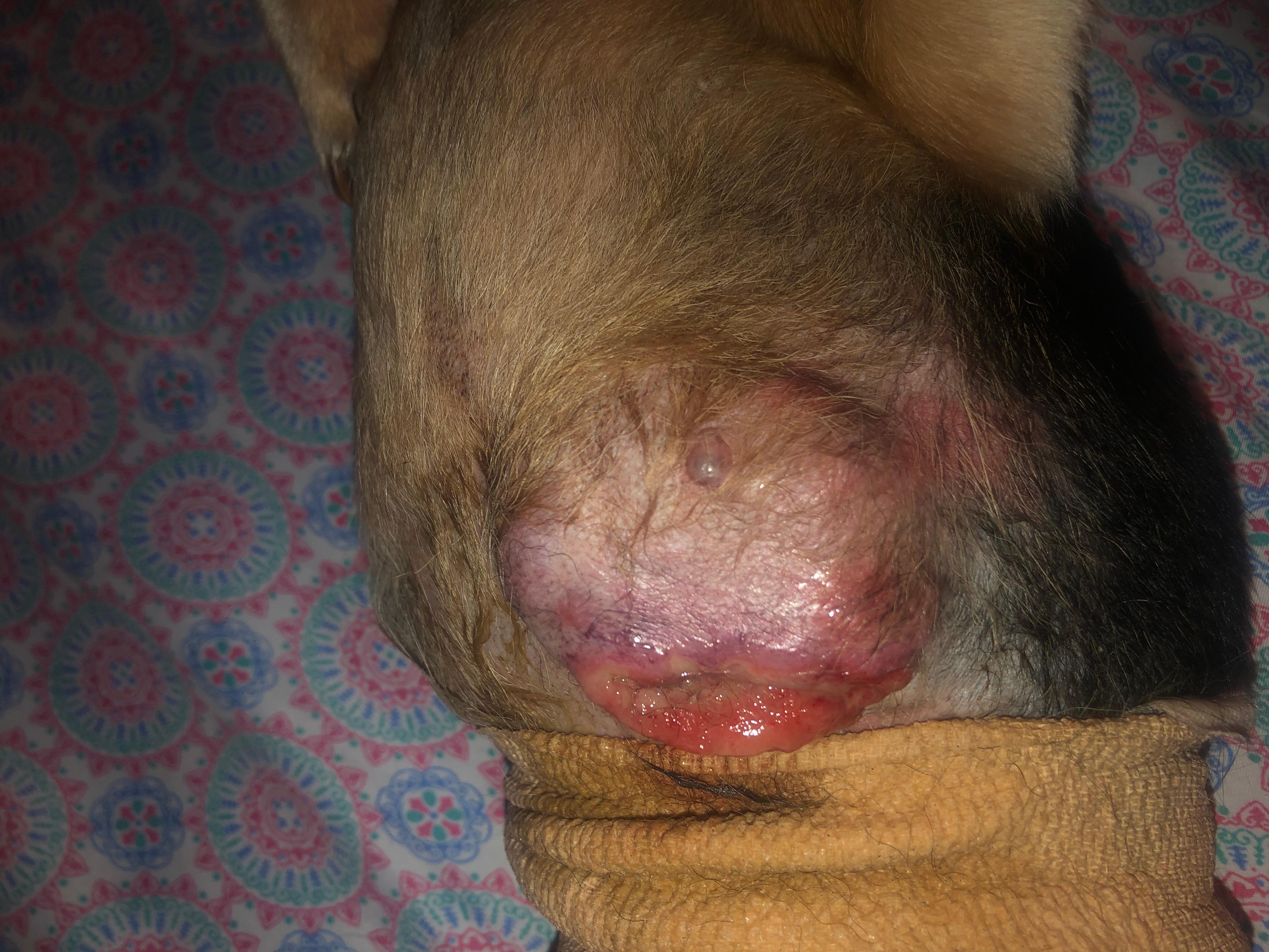 Question details sensitive content