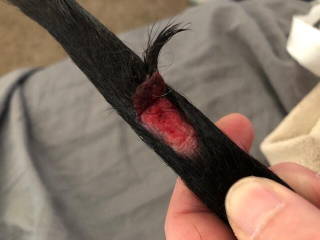 Question details sensitive content