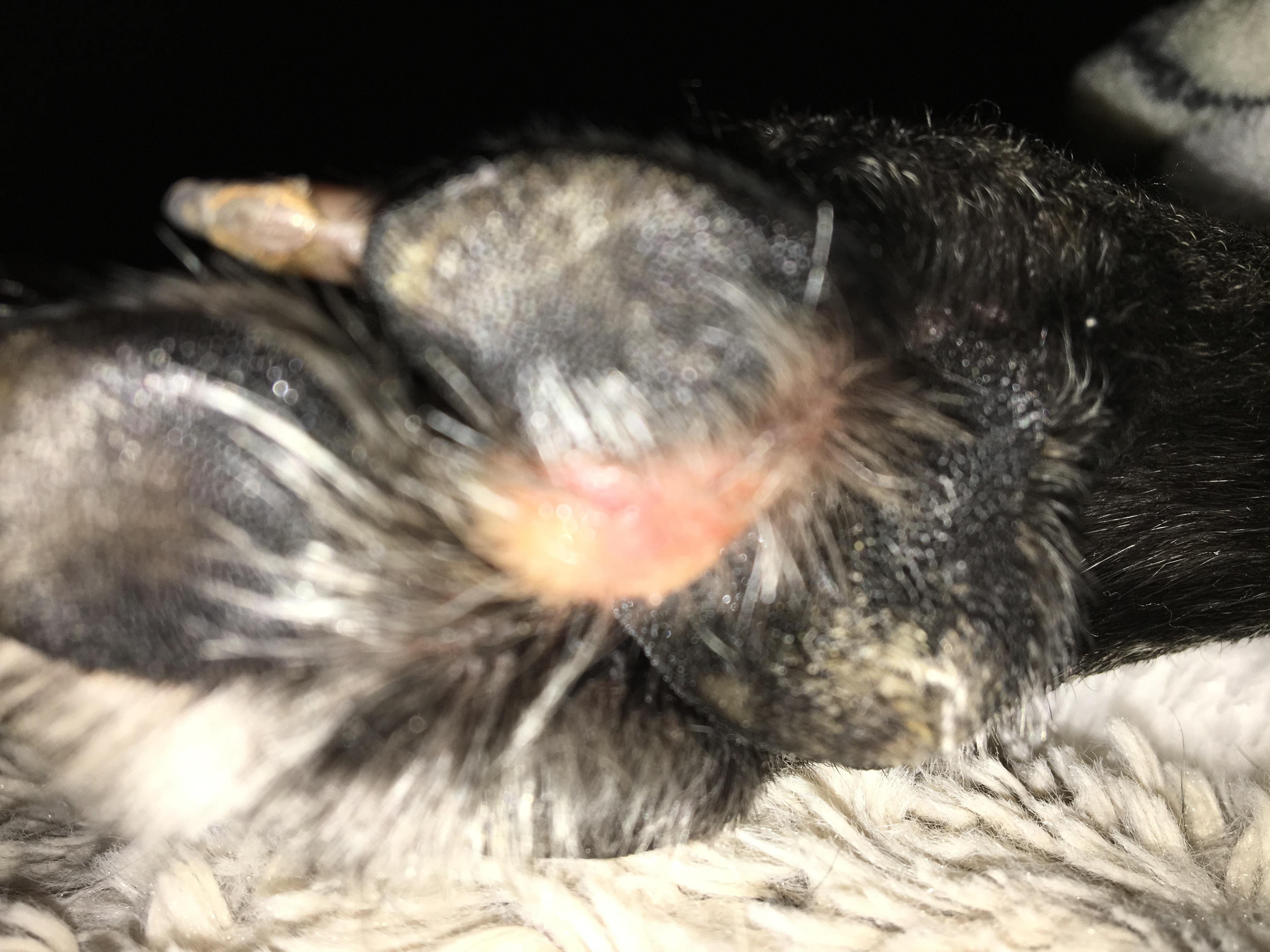 Question details sensitive content