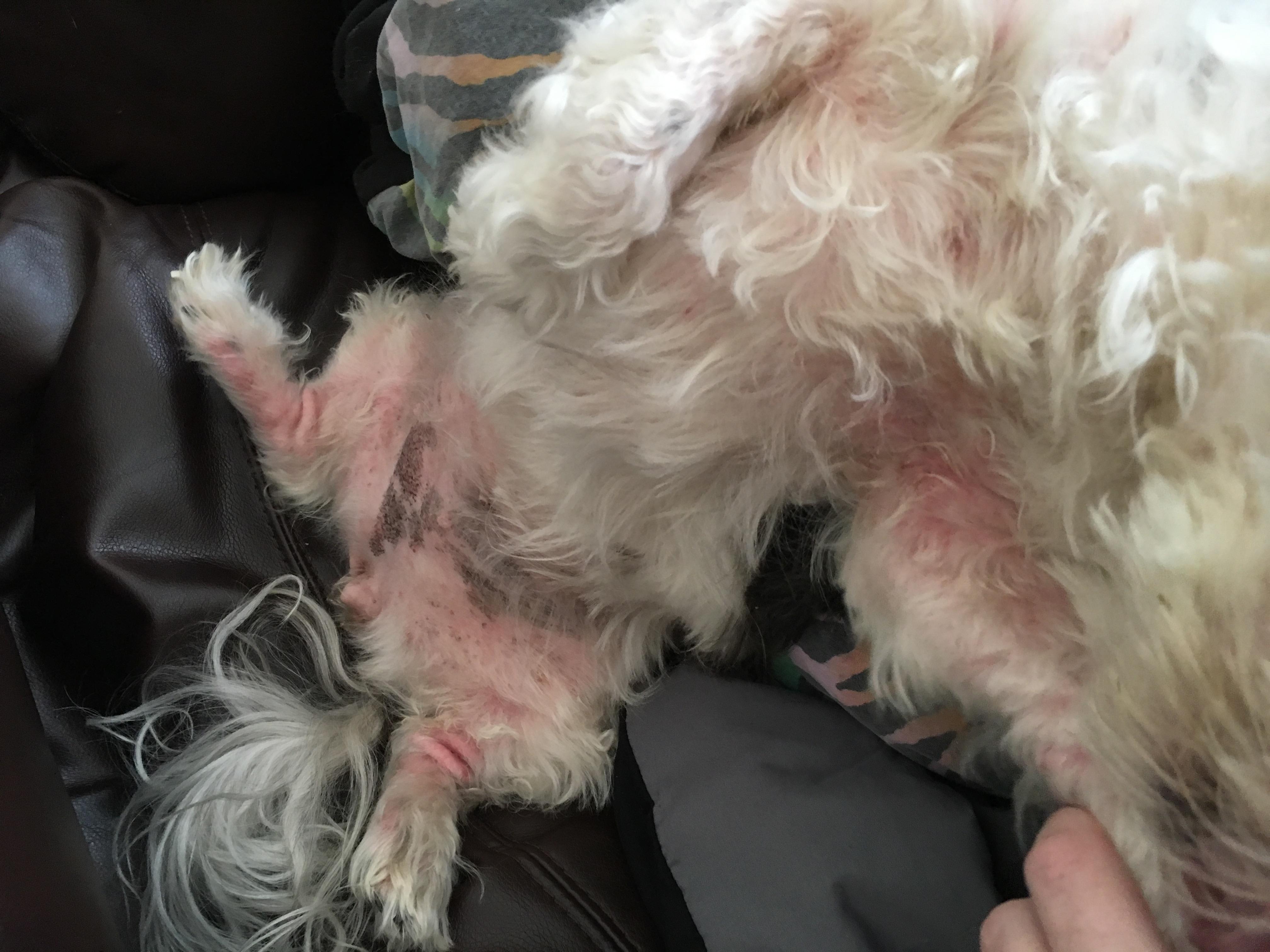 Question details sensitive content