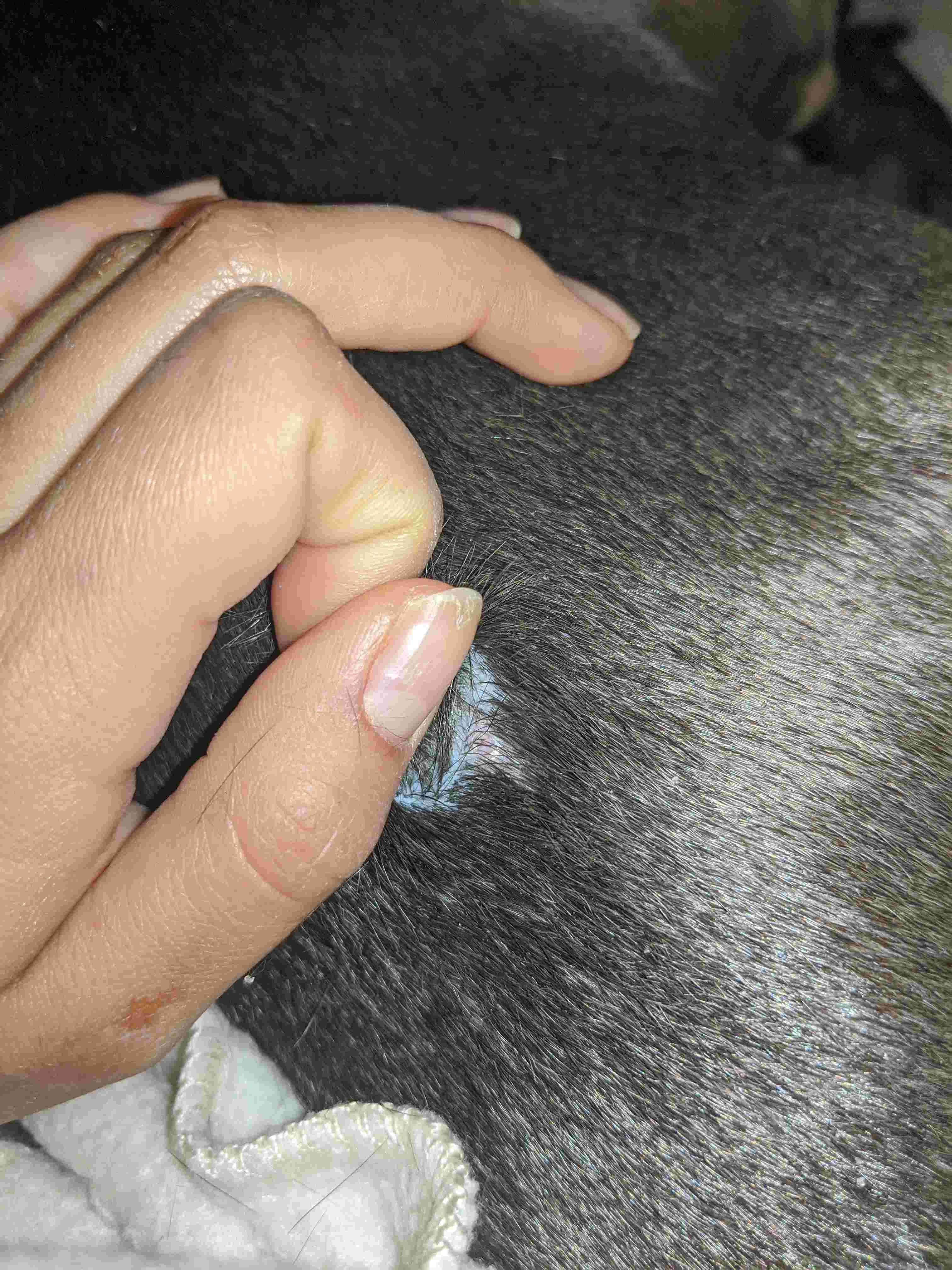 Question details sensitive content