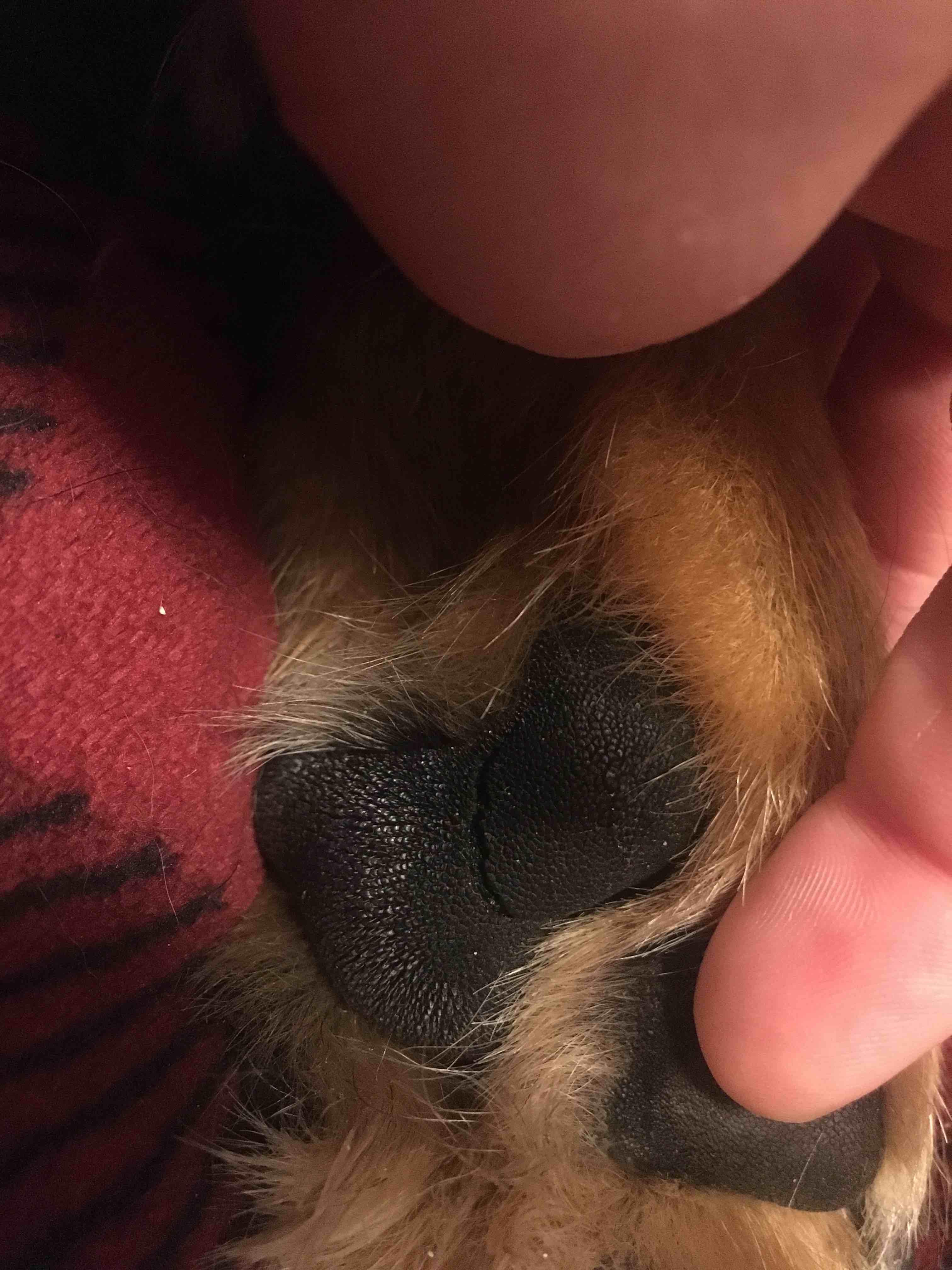 Question details sensitive content