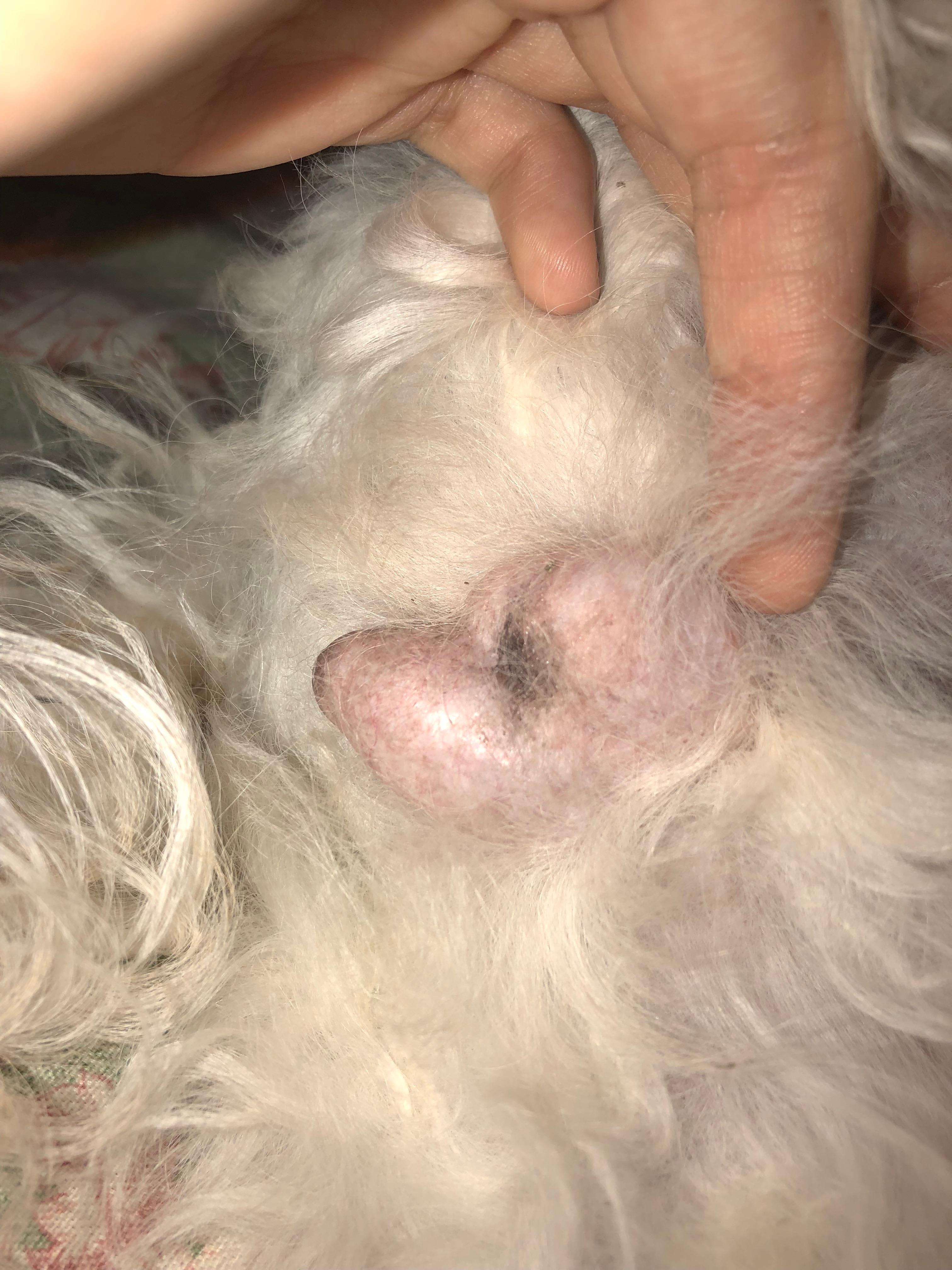 Question details sensitive content