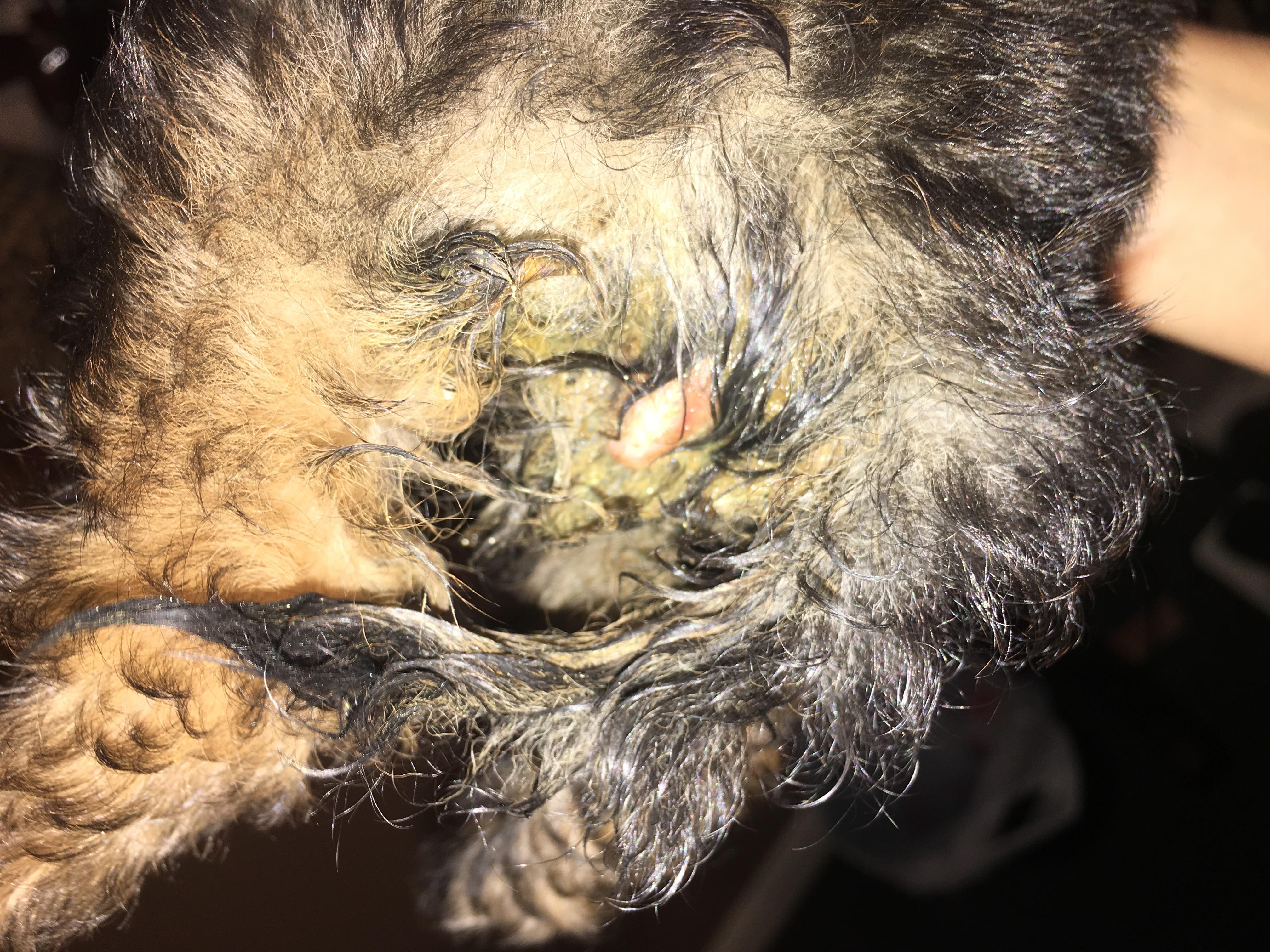 Question details sensitive content